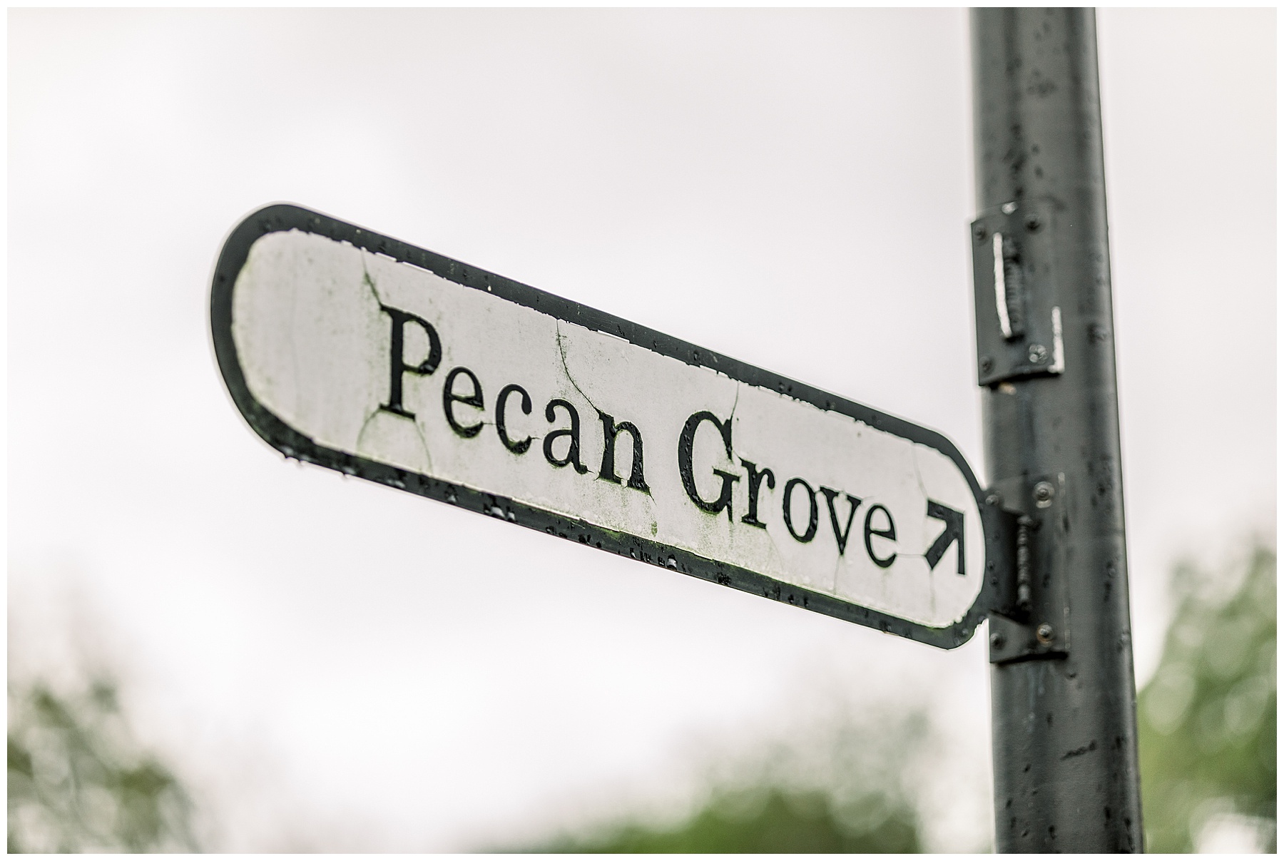 A Raleigh Engagement Session - Tiffany L Johnson Photography_0041.jpg A Raleigh Engagement Session - Tiffany L Johnson Photography_0041.jpg