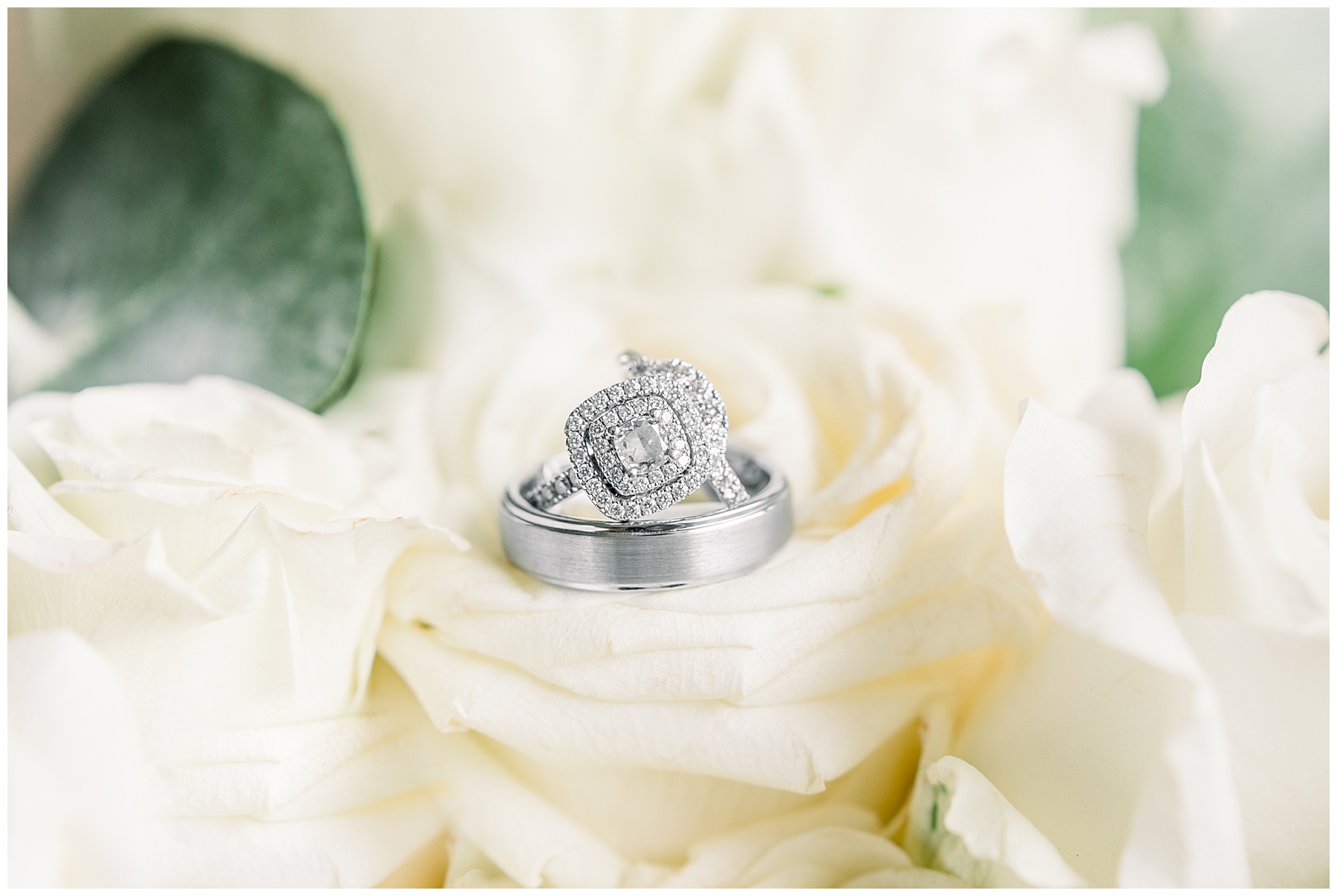 Goldsboro NC Wedding Photographer - Tiffany L Johnson Photography_0016.jpg Goldsboro NC Wedding Photographer - Tiffany L Johnson Photography_0016.jpg