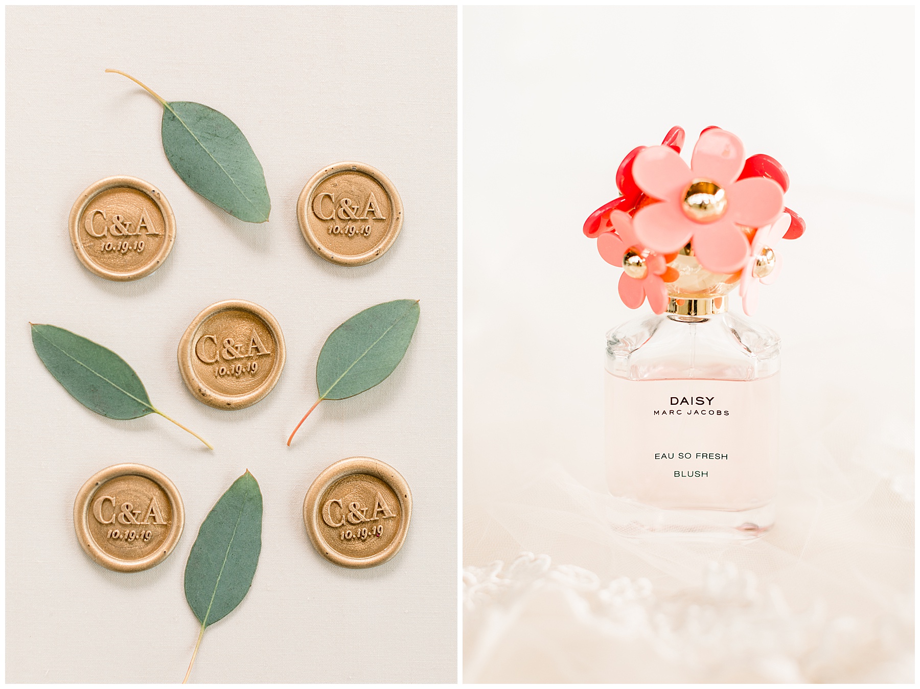 Pavilion at Carriage Farm Wedding - Tiffany L Johnson Photography_0008.jpg