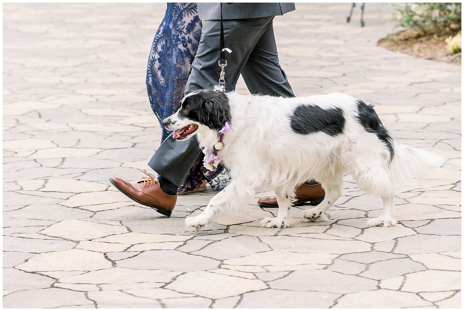 Pavilion at Carriage Farm Wedding - Tiffany L Johnson Photography_0075.jpg