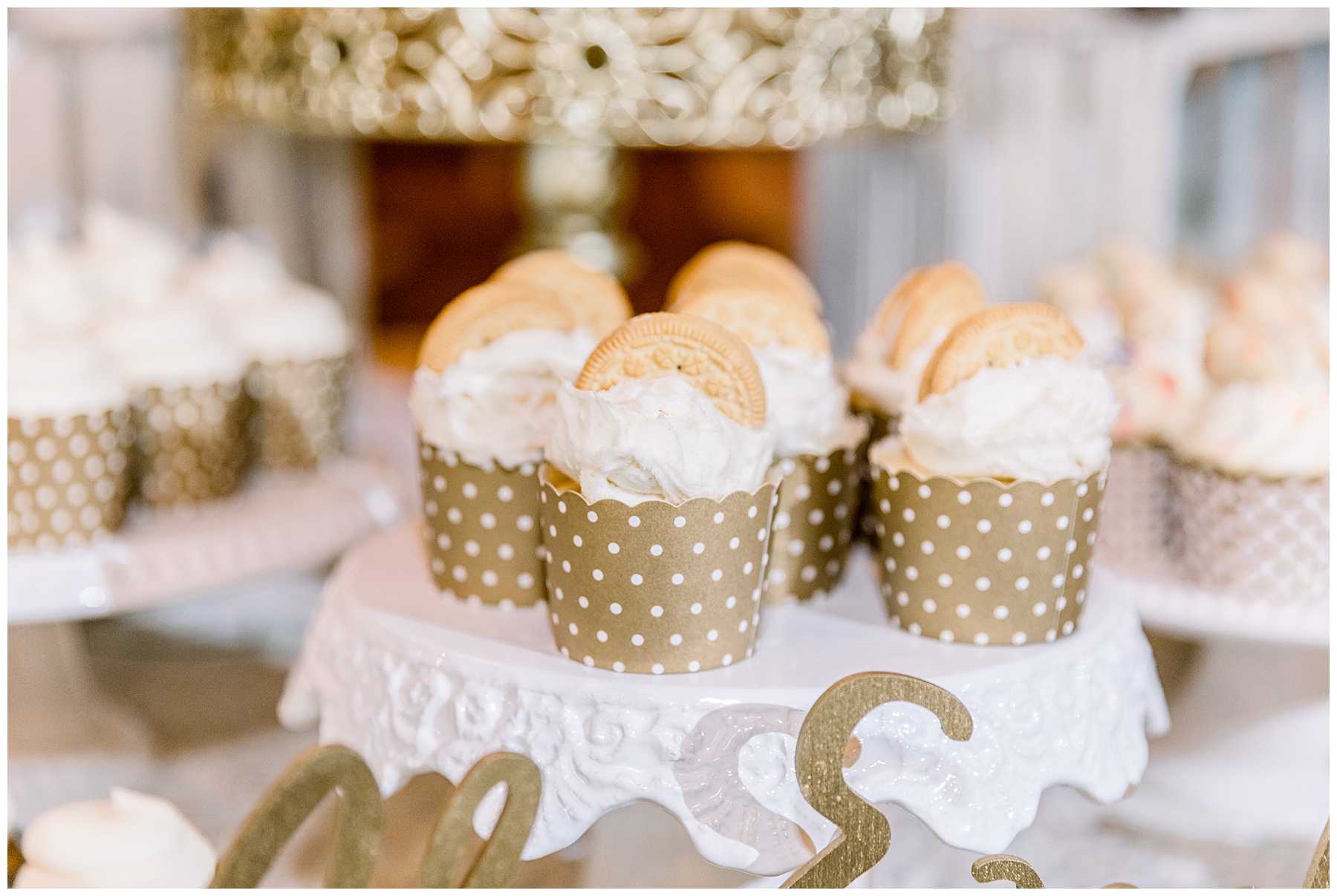 Pavilion at Carriage Farm Wedding - Tiffany L Johnson Photography_0137.jpg