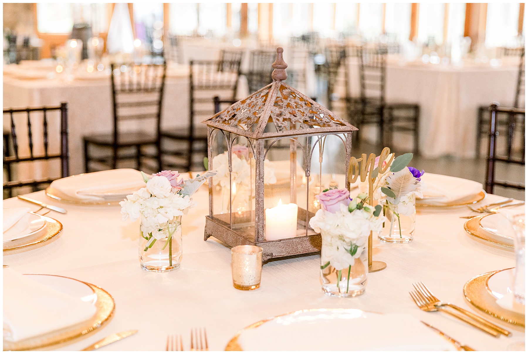 Pavilion at Carriage Farm Wedding - Tiffany L Johnson Photography_0141.jpg