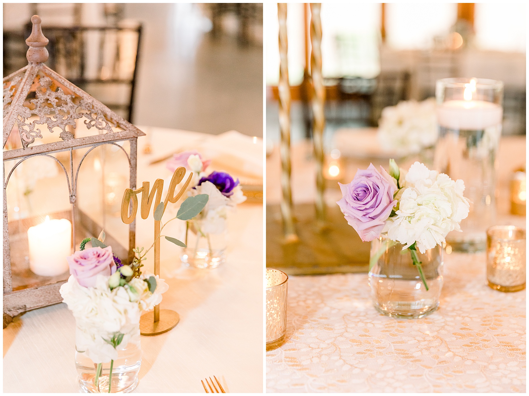 Pavilion at Carriage Farm Wedding - Tiffany L Johnson Photography_0142.jpg