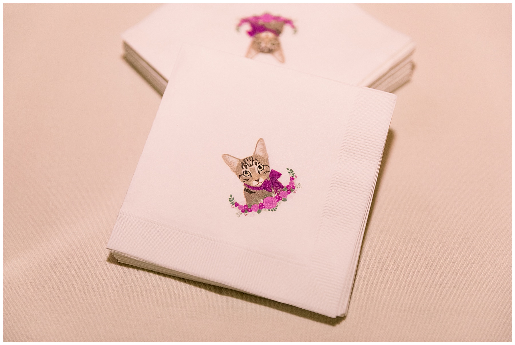 Pavilion at Carriage Farm Wedding - Tiffany L Johnson Photography_0154.jpg