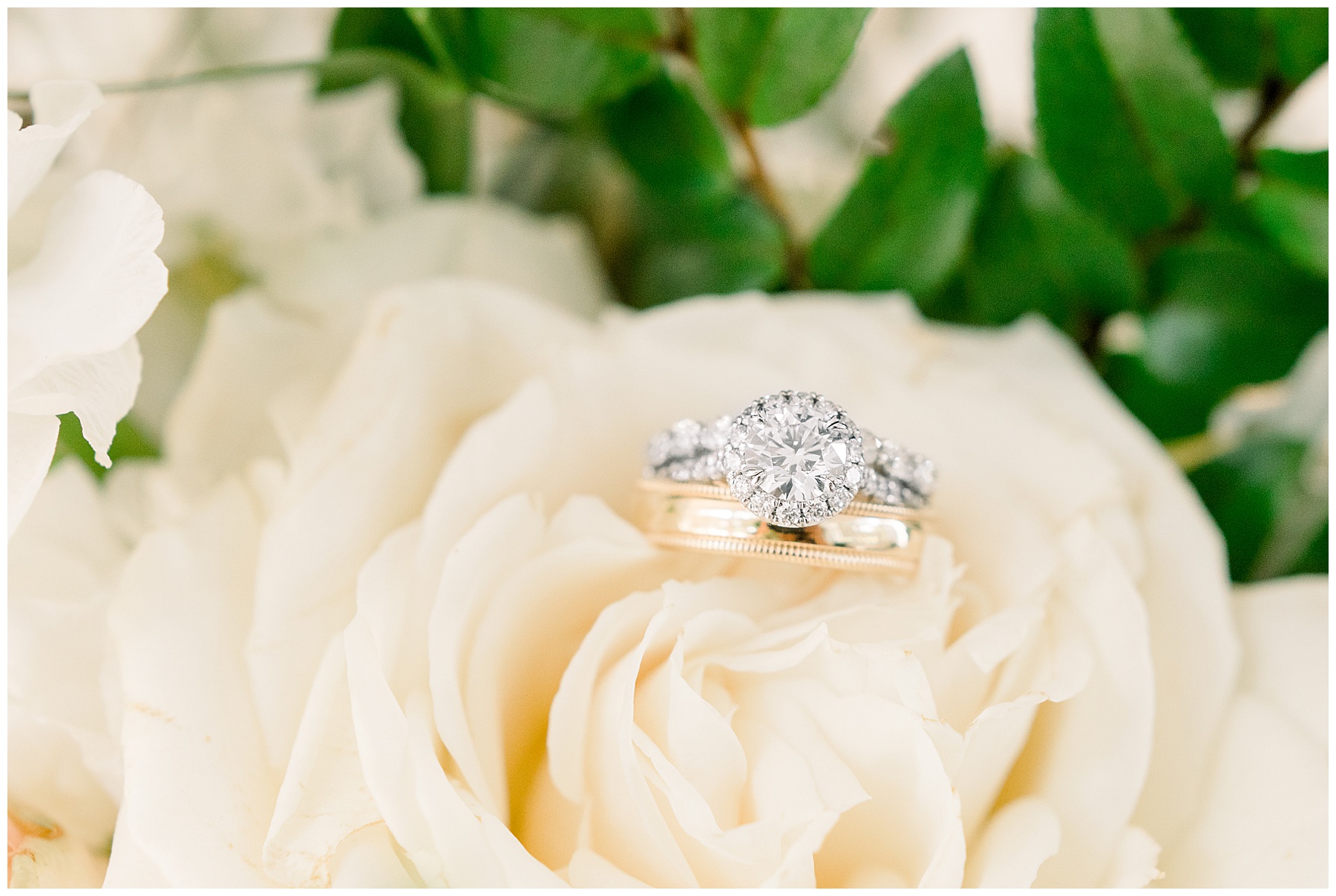 Rose Hill Plantation Wedding - Tiffany L Johnson Photography_0010.jpg