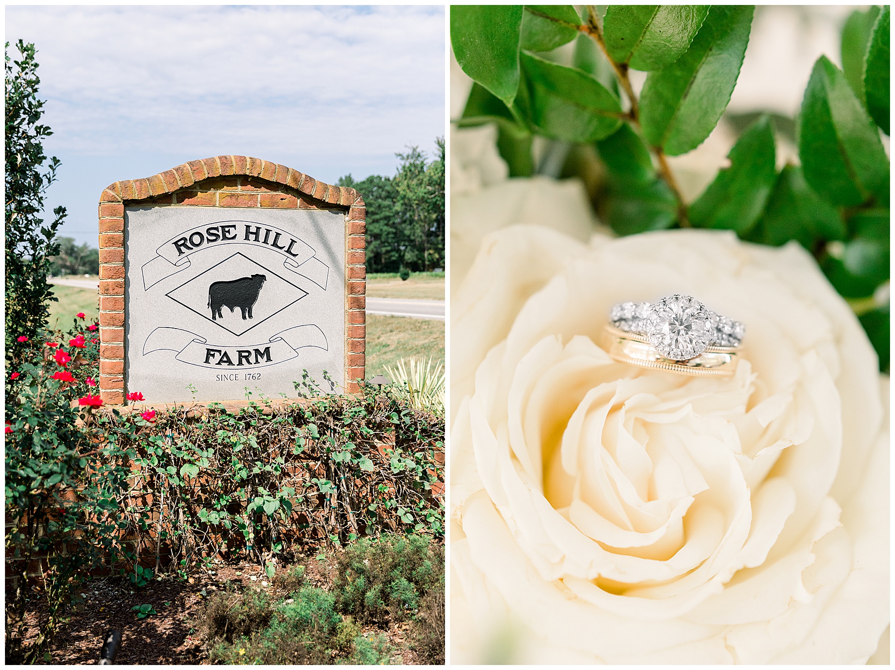 Rose Hill Plantation Wedding - Tiffany L Johnson Photography_0013.jpg