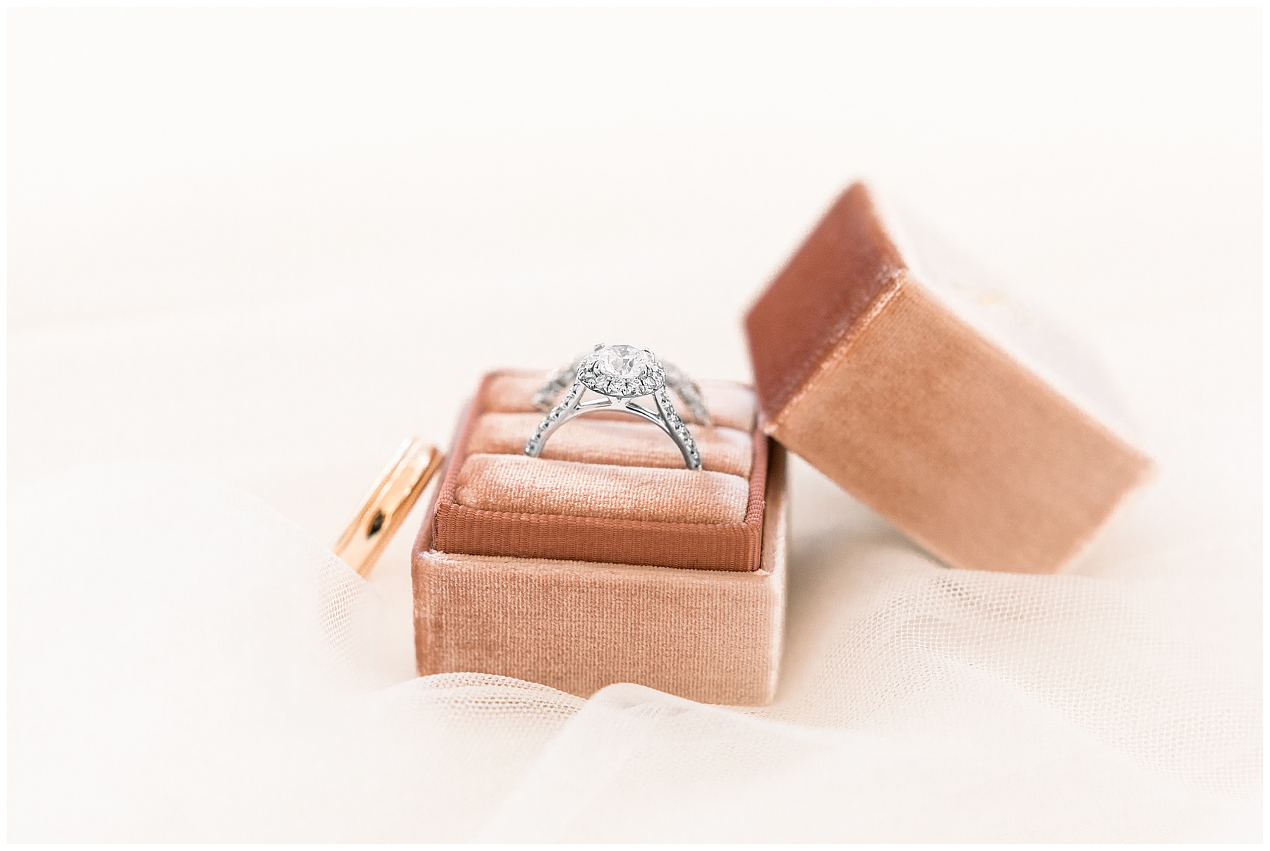 Rose Hill Plantation Wedding - Tiffany L Johnson Photography_0020.jpg