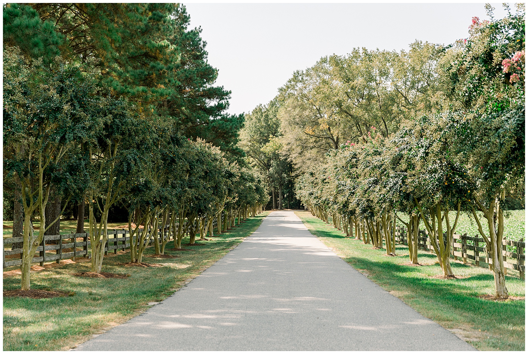 Rose Hill Plantation Wedding - Tiffany L Johnson Photography_0024.jpg