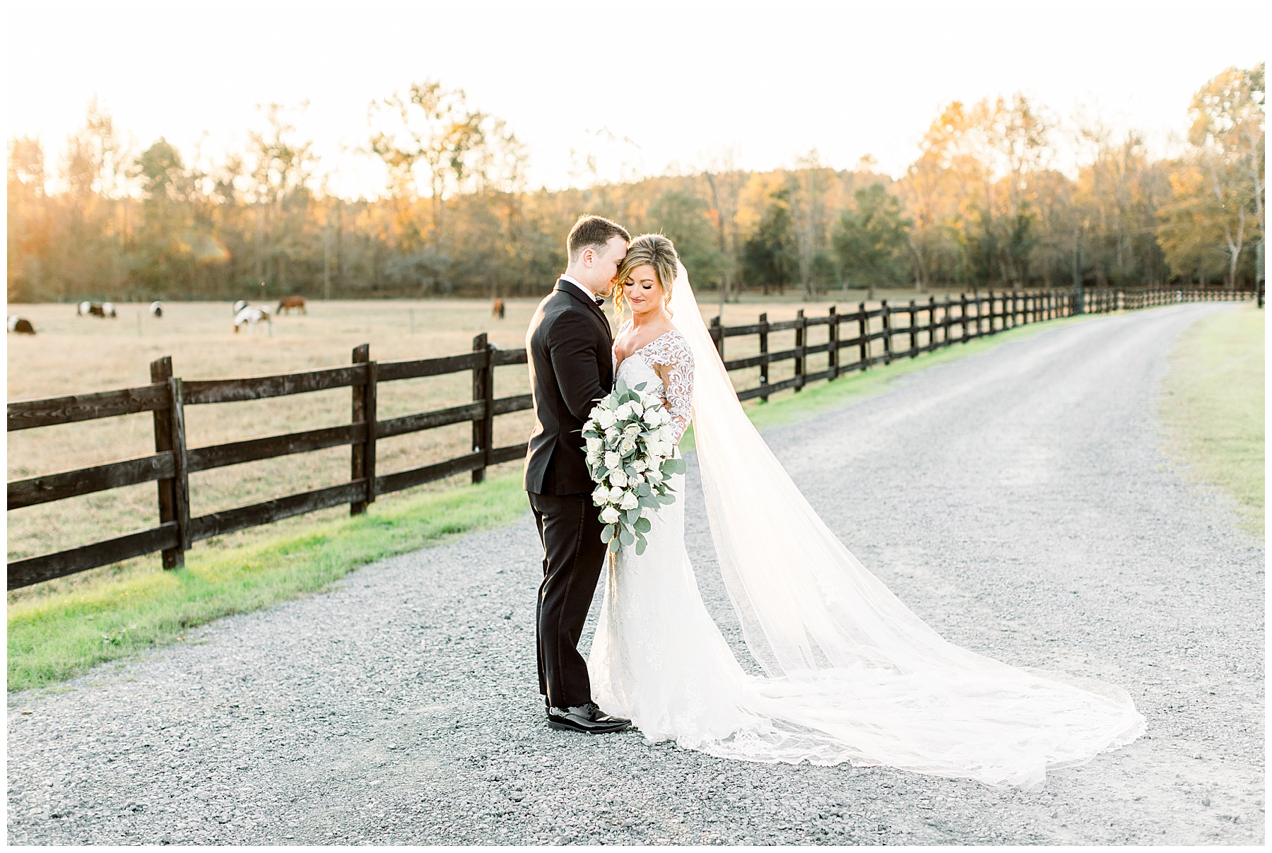Oakland Farm Wedding Day - Tiffany L Johnson Photography_0113.jpg Oakland Farm Wedding Day - Tiffany L Johnson Photography_0113.jpg