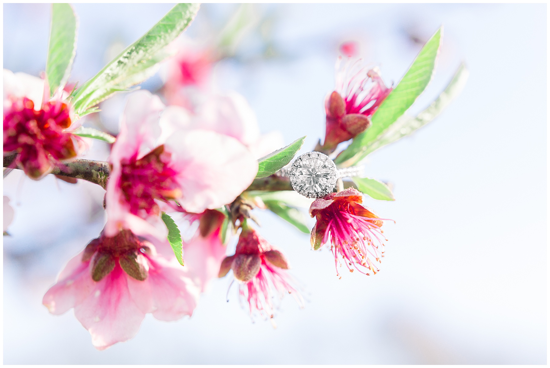 Engagement Sessions Best of 2019 Tiffany L Johnson Photography_0003.jpg