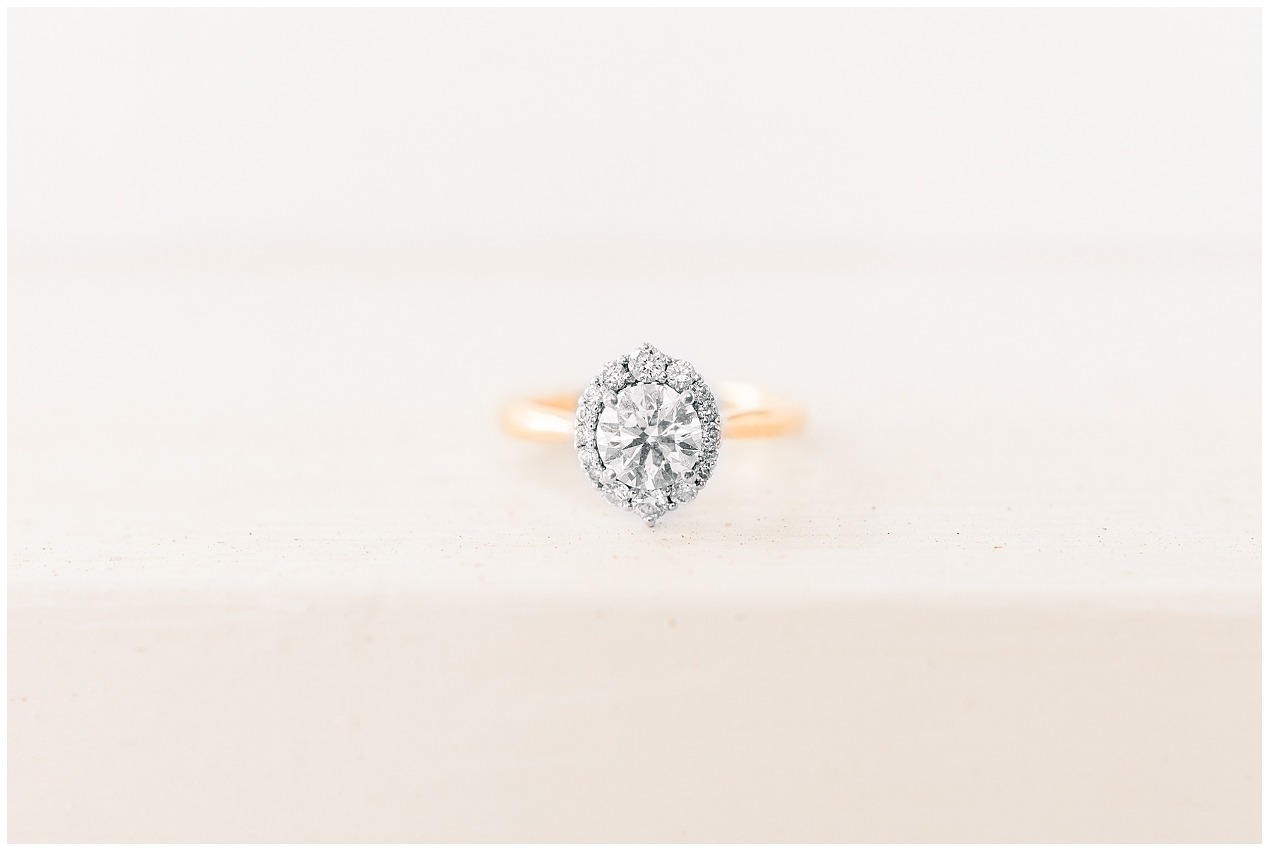 Engagement Sessions Best of 2019 Tiffany L Johnson Photography_0009.jpg