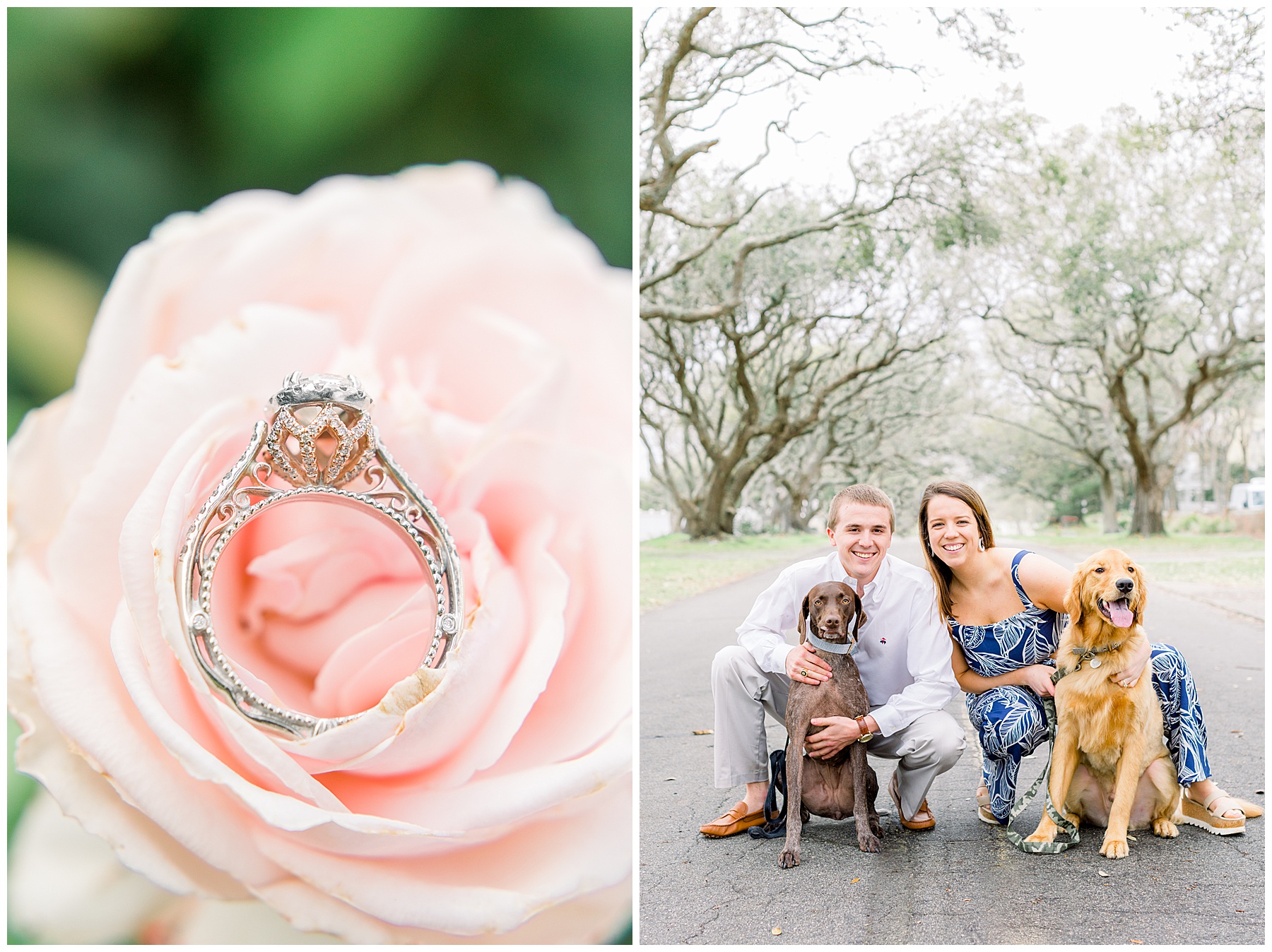 Engagement Sessions Best of 2019 Tiffany L Johnson Photography_0014.jpg