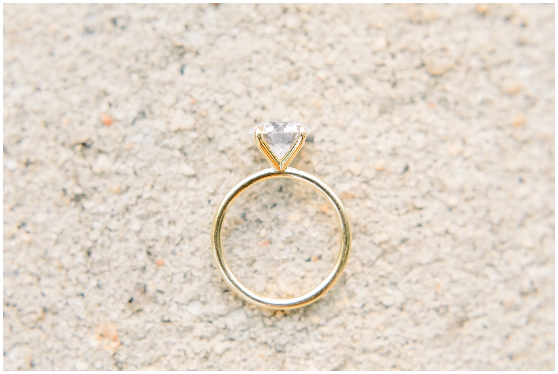 Engagement Sessions Best of 2019 Tiffany L Johnson Photography_0030.jpg