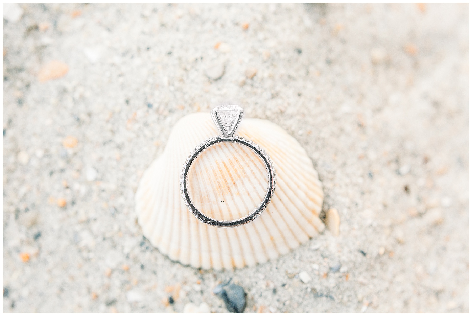 Engagement Sessions Best of 2019 Tiffany L Johnson Photography_0036.jpg