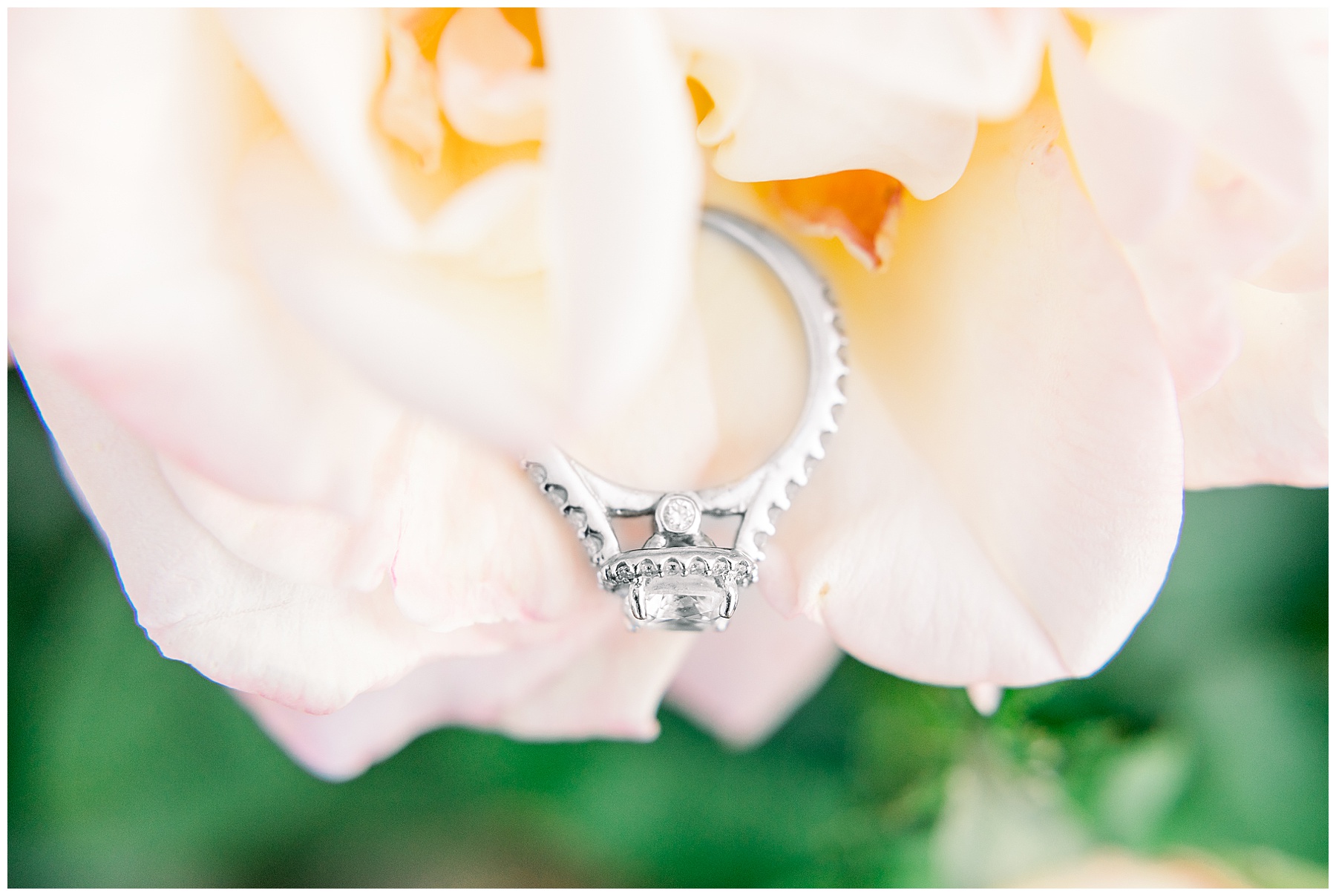 Engagement Sessions Best of 2019 Tiffany L Johnson Photography_0042.jpg