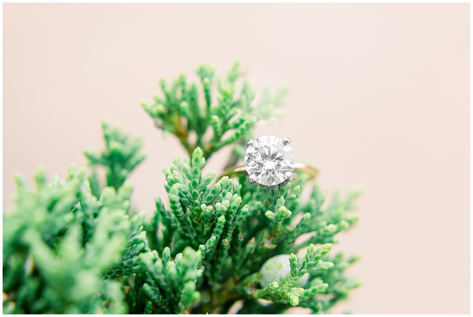 Engagement Sessions Best of 2019 Tiffany L Johnson Photography_0061.jpg