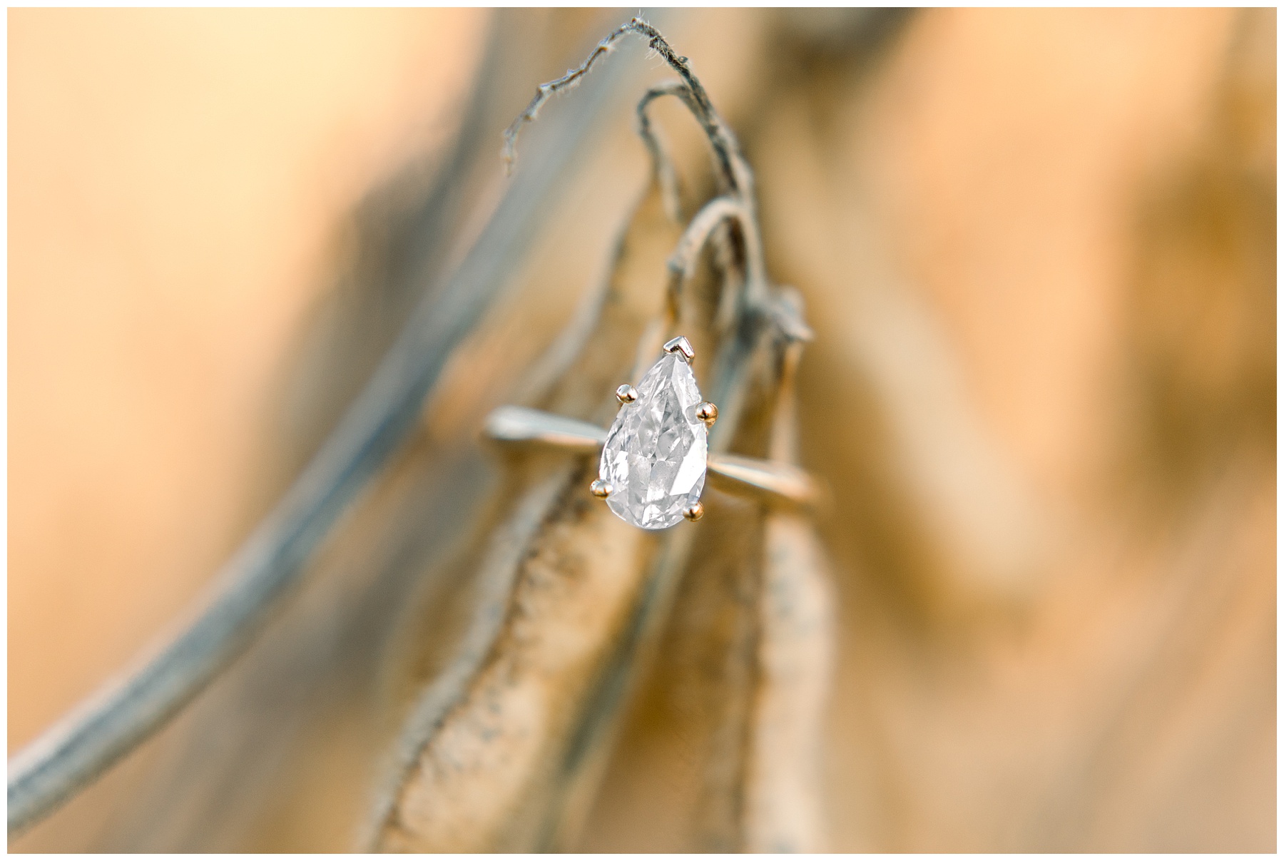 Engagement Sessions Best of 2019 Tiffany L Johnson Photography_0065.jpg