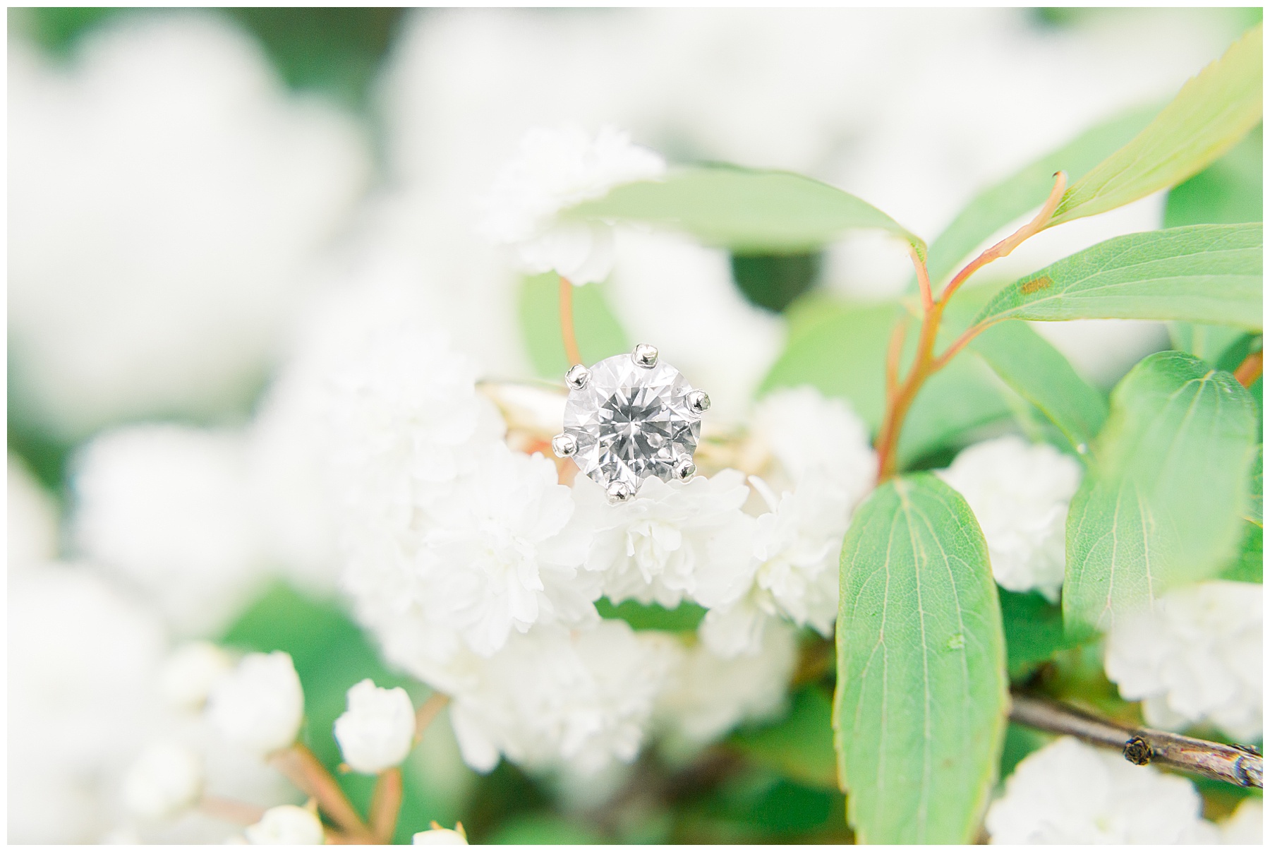 Engagement Sessions Best of 2019 Tiffany L Johnson Photography_0077.jpg