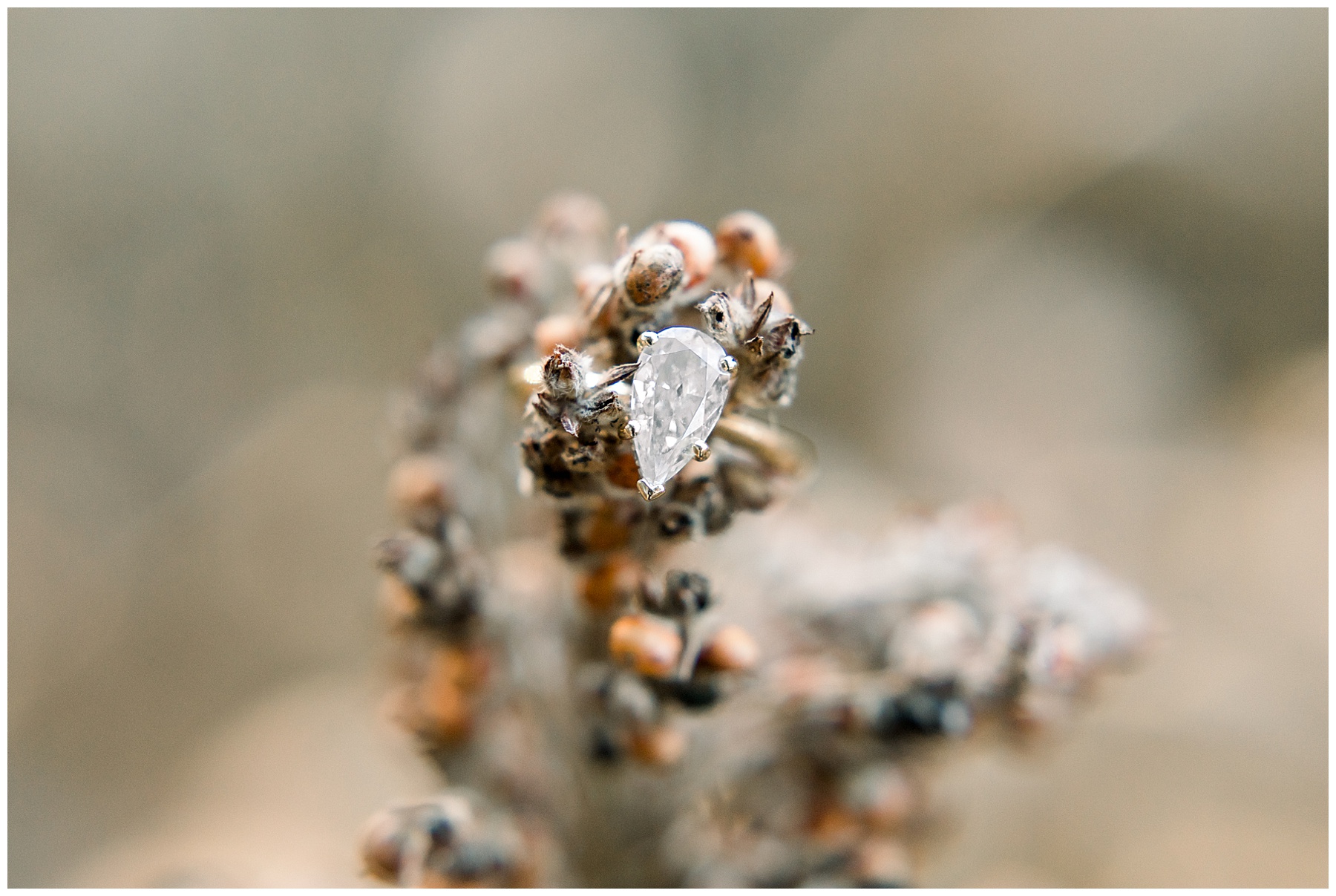 Farm Engagement Session - Raleigh NC Wedding Photographer - Tiffany L Johnson_0003.jpg Farm Engagement Session - Raleigh NC Wedding Photographer - Tiffany L Johnson_0003.jpg