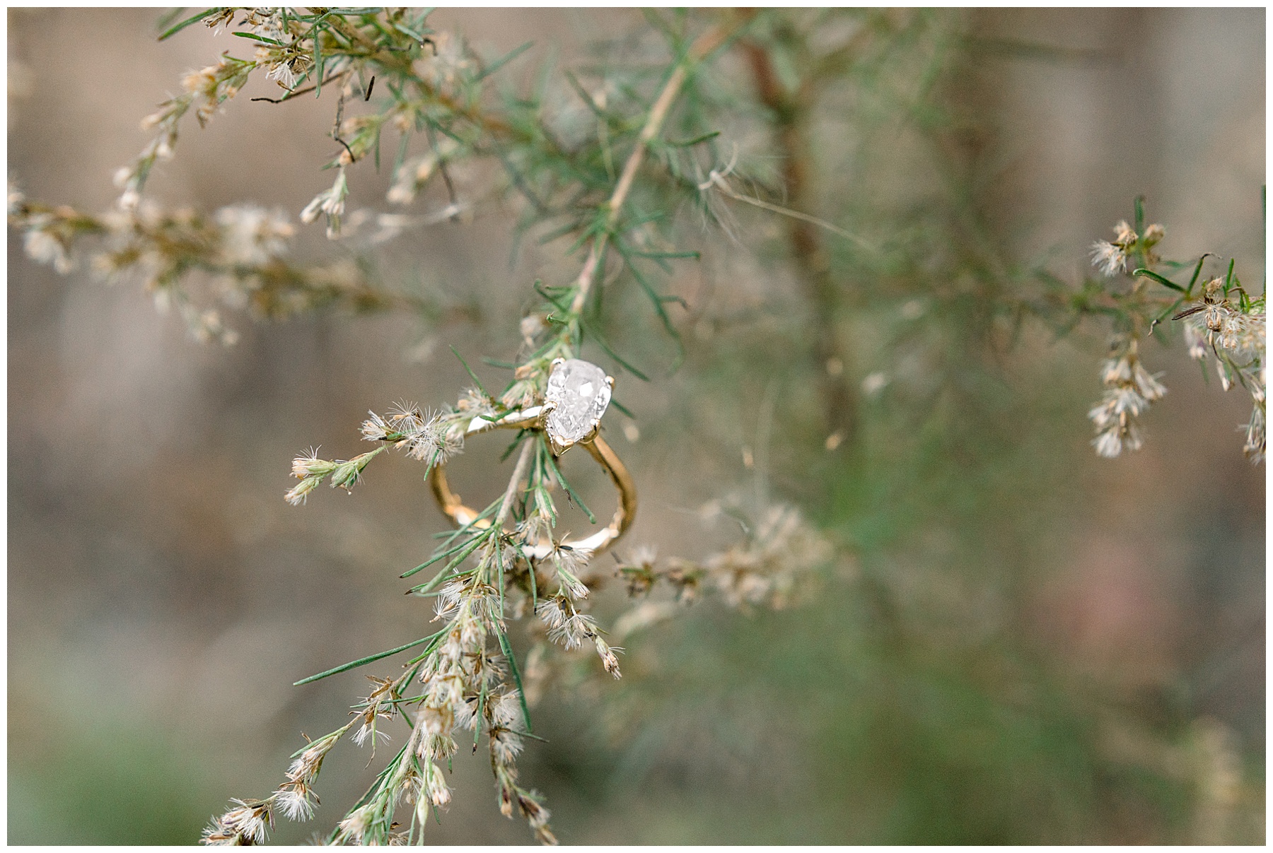 Farm Engagement Session - Raleigh NC Wedding Photographer - Tiffany L Johnson_0005.jpg Farm Engagement Session - Raleigh NC Wedding Photographer - Tiffany L Johnson_0005.jpg
