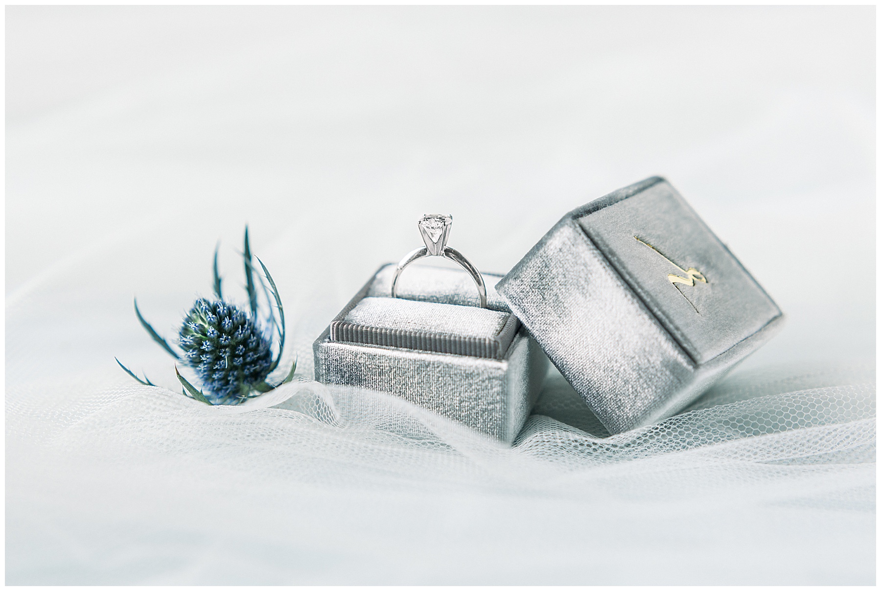 Detail Shots Best of 2019 Tiffany L Johnson Photography_0009.jpg