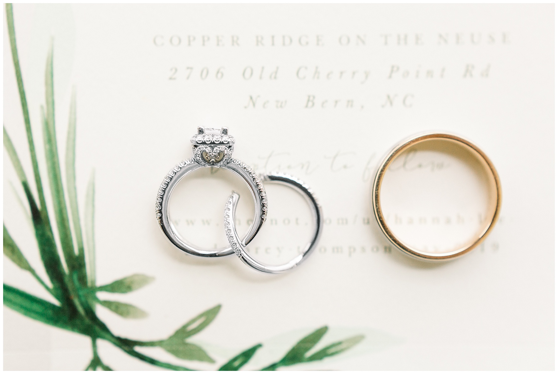 Detail Shots Best of 2019 Tiffany L Johnson Photography_0038.jpg