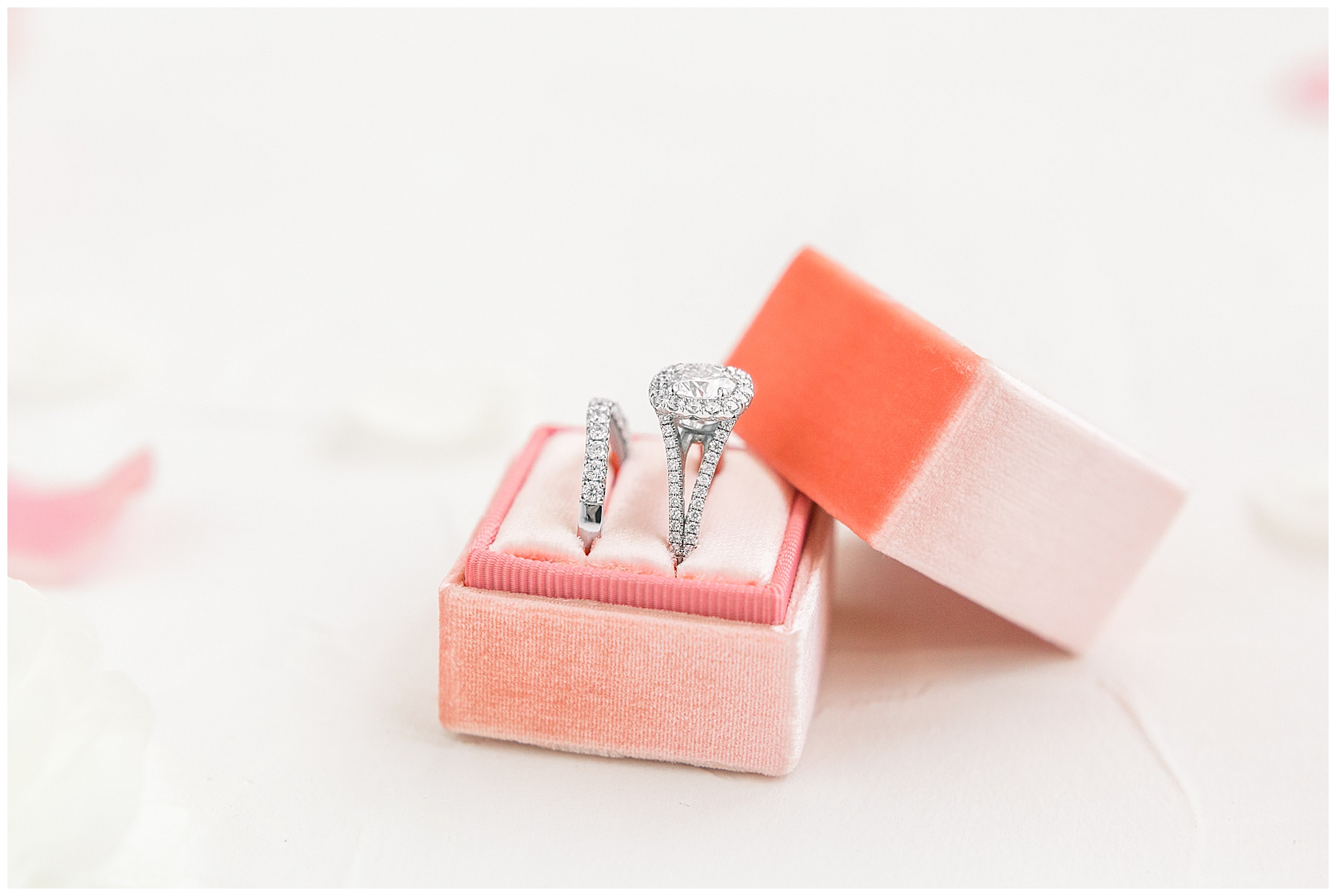 Detail Shots Best of 2019 Tiffany L Johnson Photography_0060.jpg