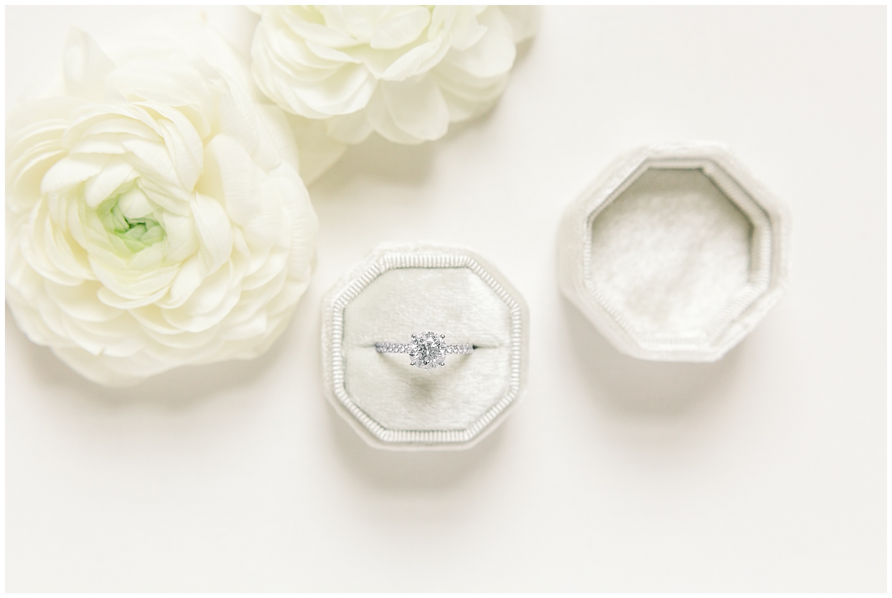 Detail Shots Best of 2019 Tiffany L Johnson Photography_0069.jpg