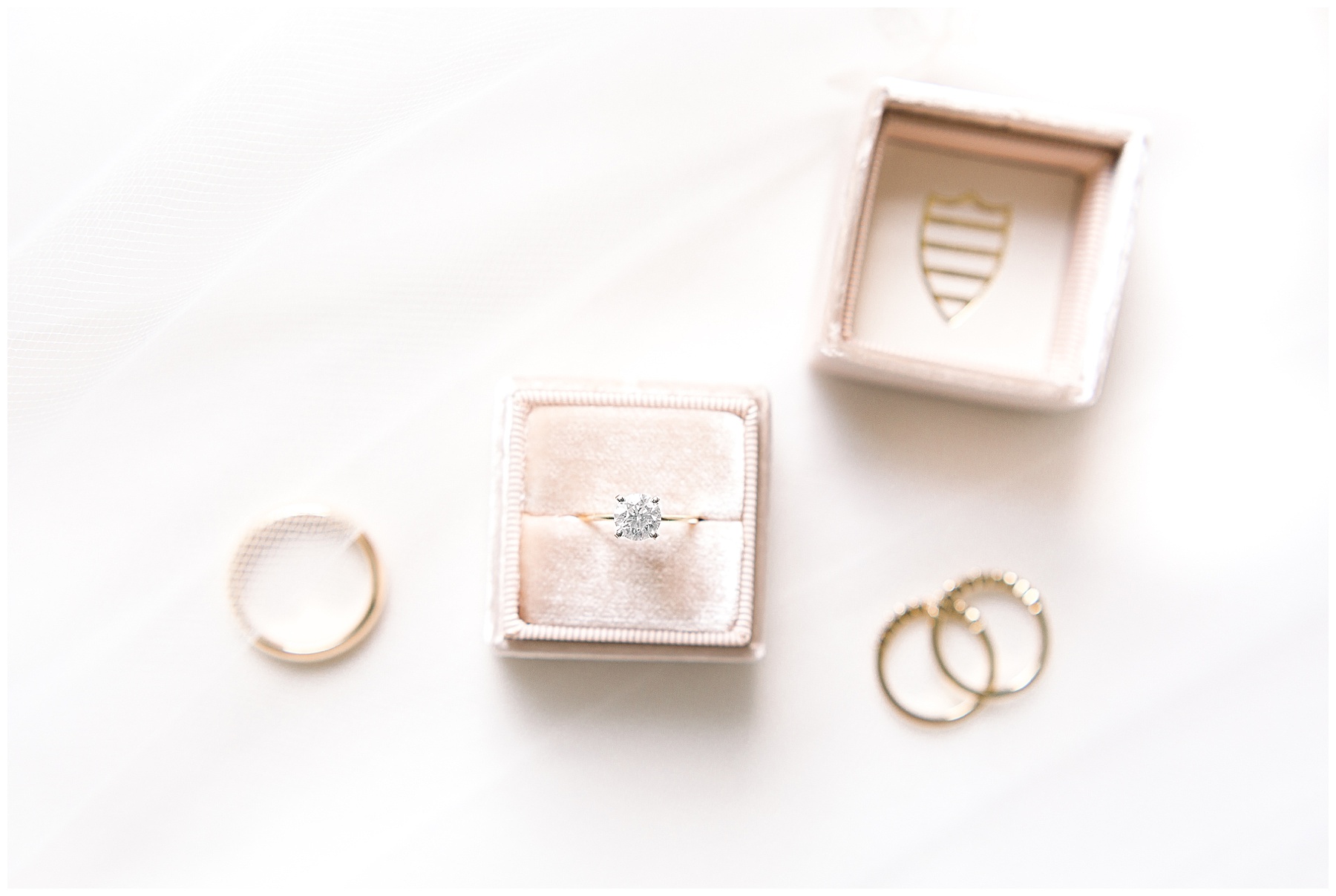 Detail Shots Best of 2019 Tiffany L Johnson Photography_0078.jpg