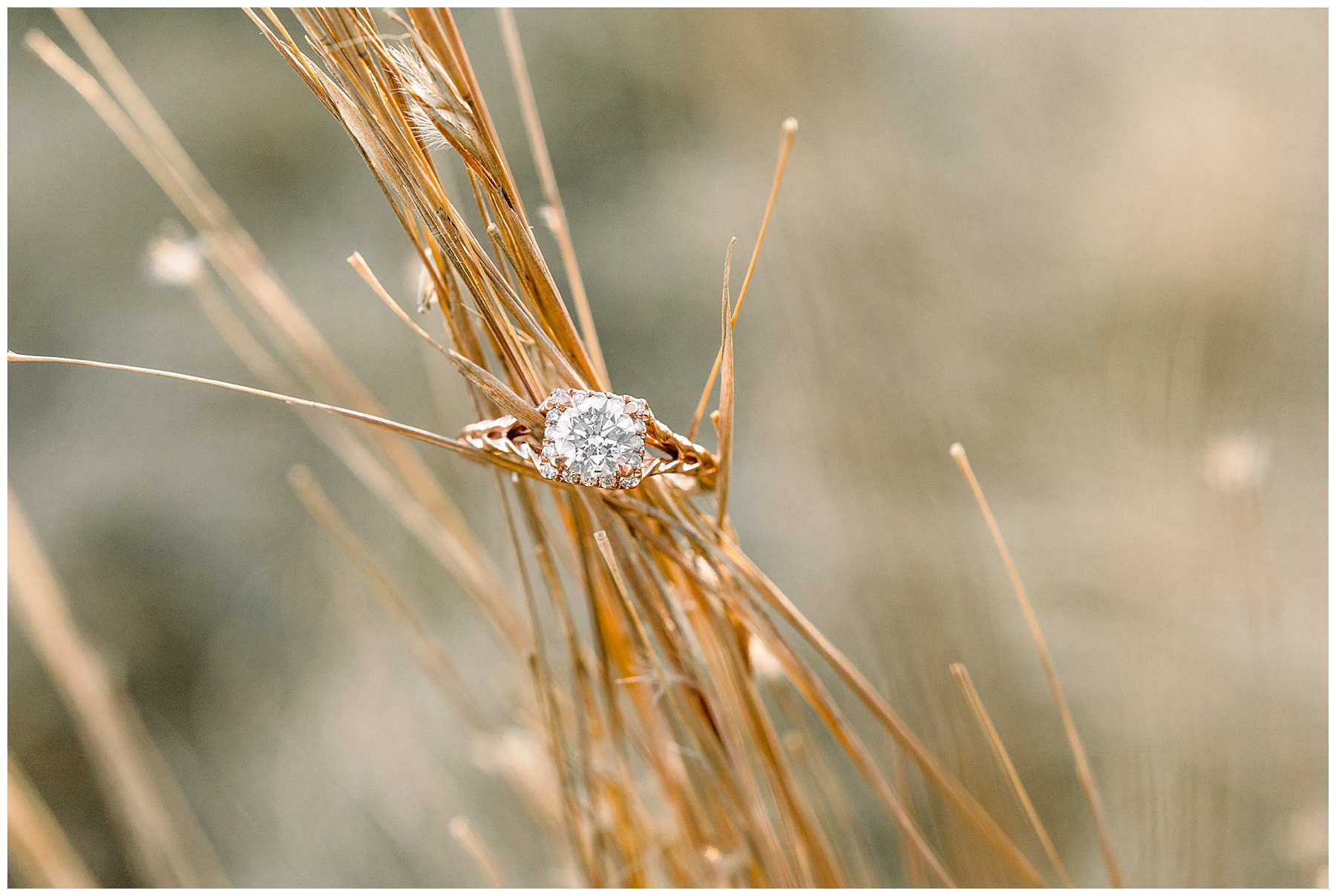 North Carolina Museum of Art Engagement Session - Tiffany L Johnson Photography_0003.jpg