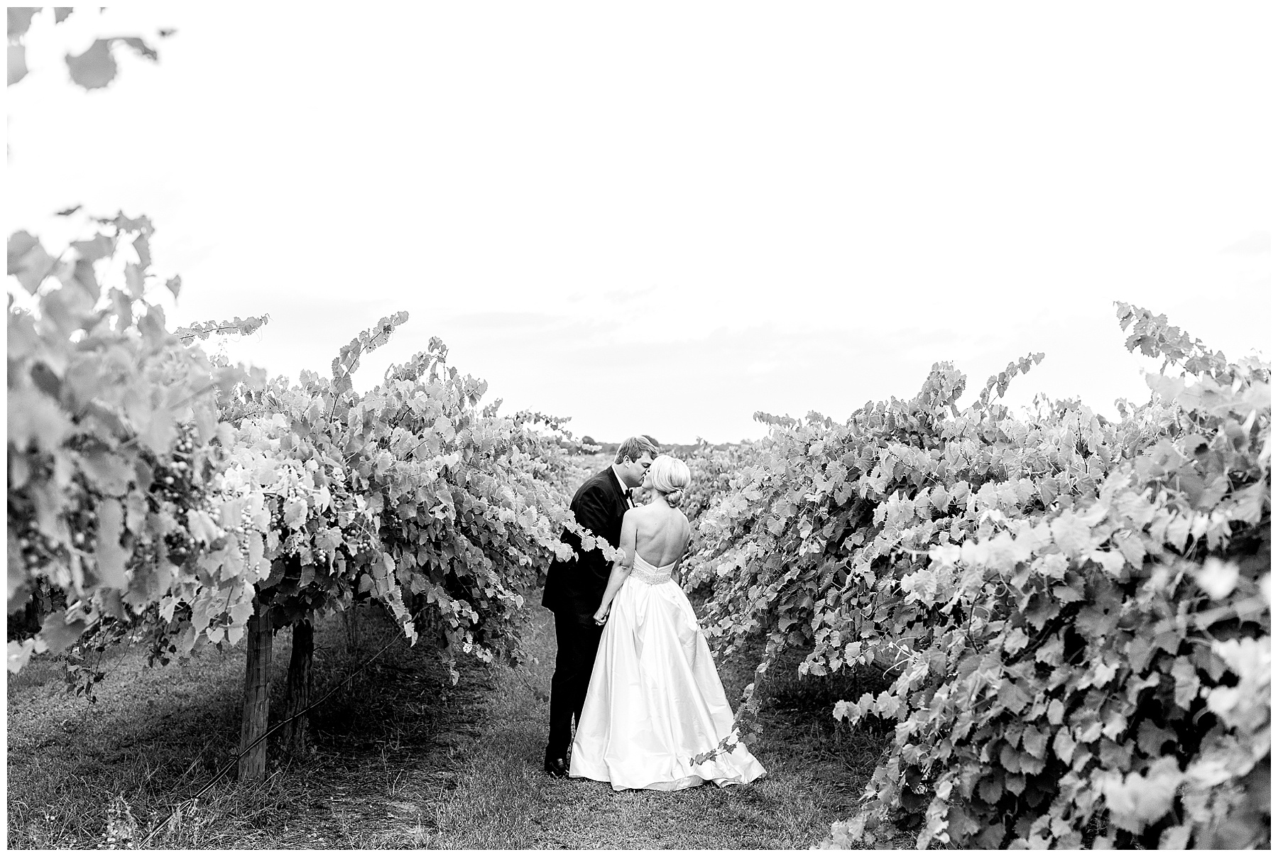 Wedding Photos Best of 2019 Tiffany L Johnson Photography_0081.jpg