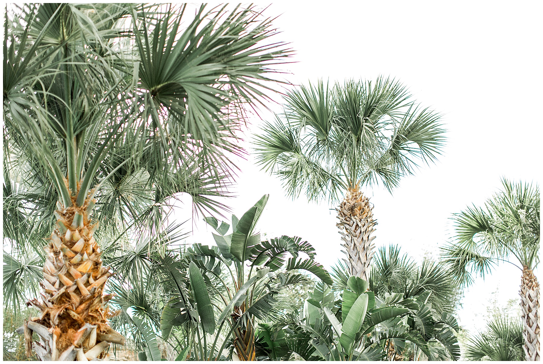 how to travel on a budget - tiffany l johnson photography_0007.jpg