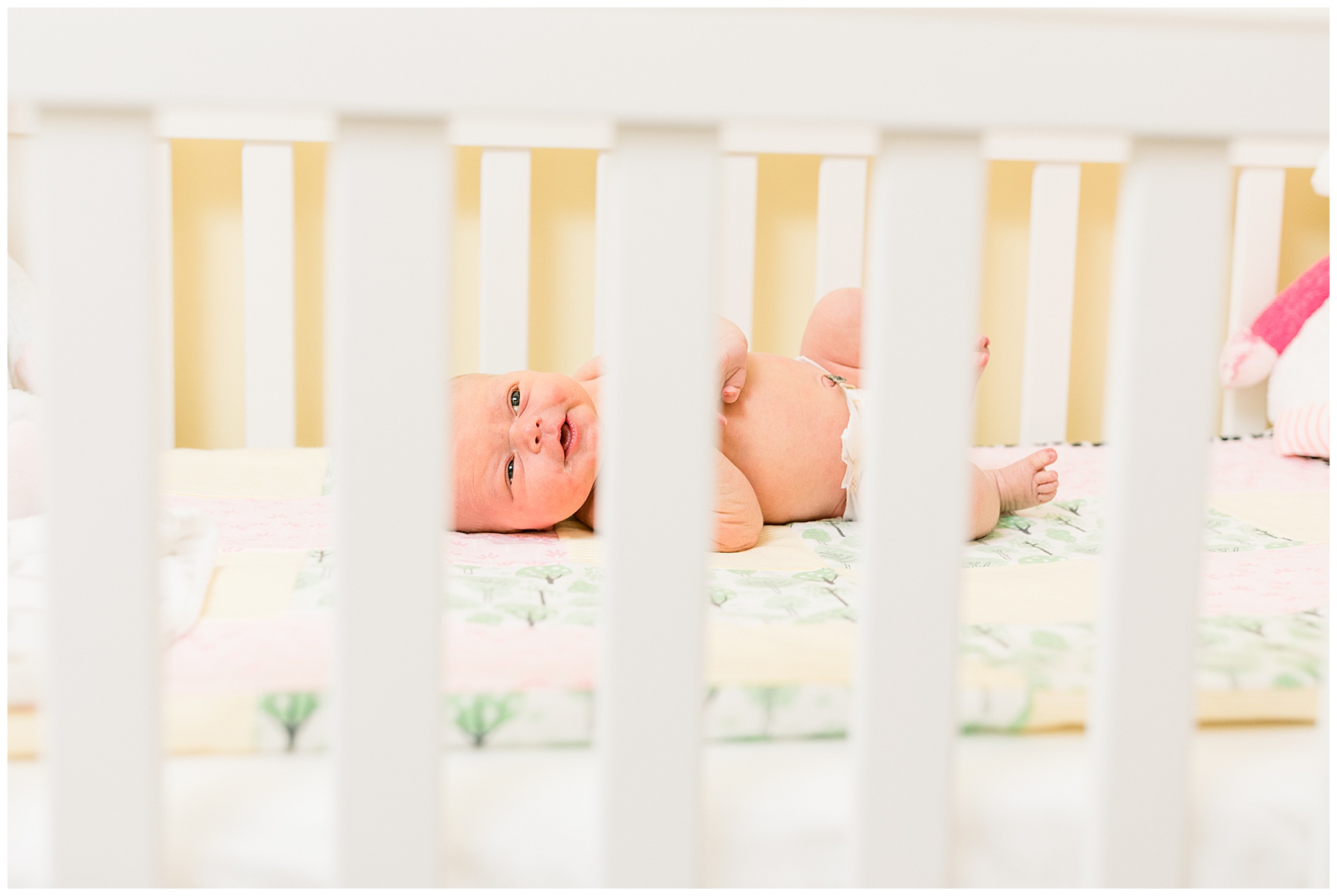 Lifestyle newborn session - tiffany l johnson photography_0030.jpg