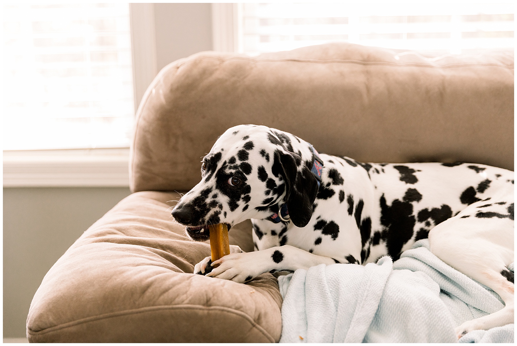 Lifestyle newborn session - tiffany l johnson photography_0040.jpg