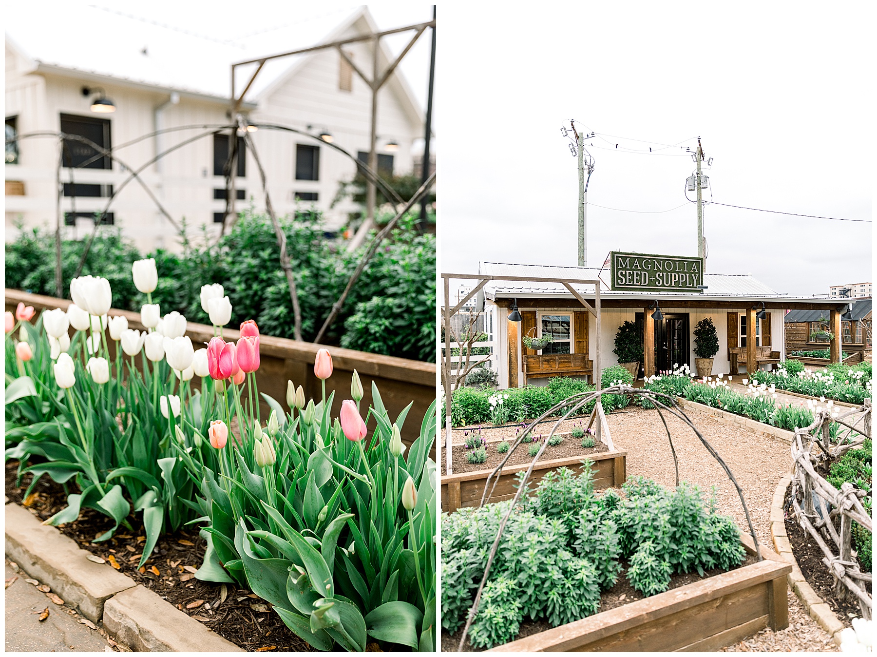 Magnolia Market Waco Texas_0031.jpg