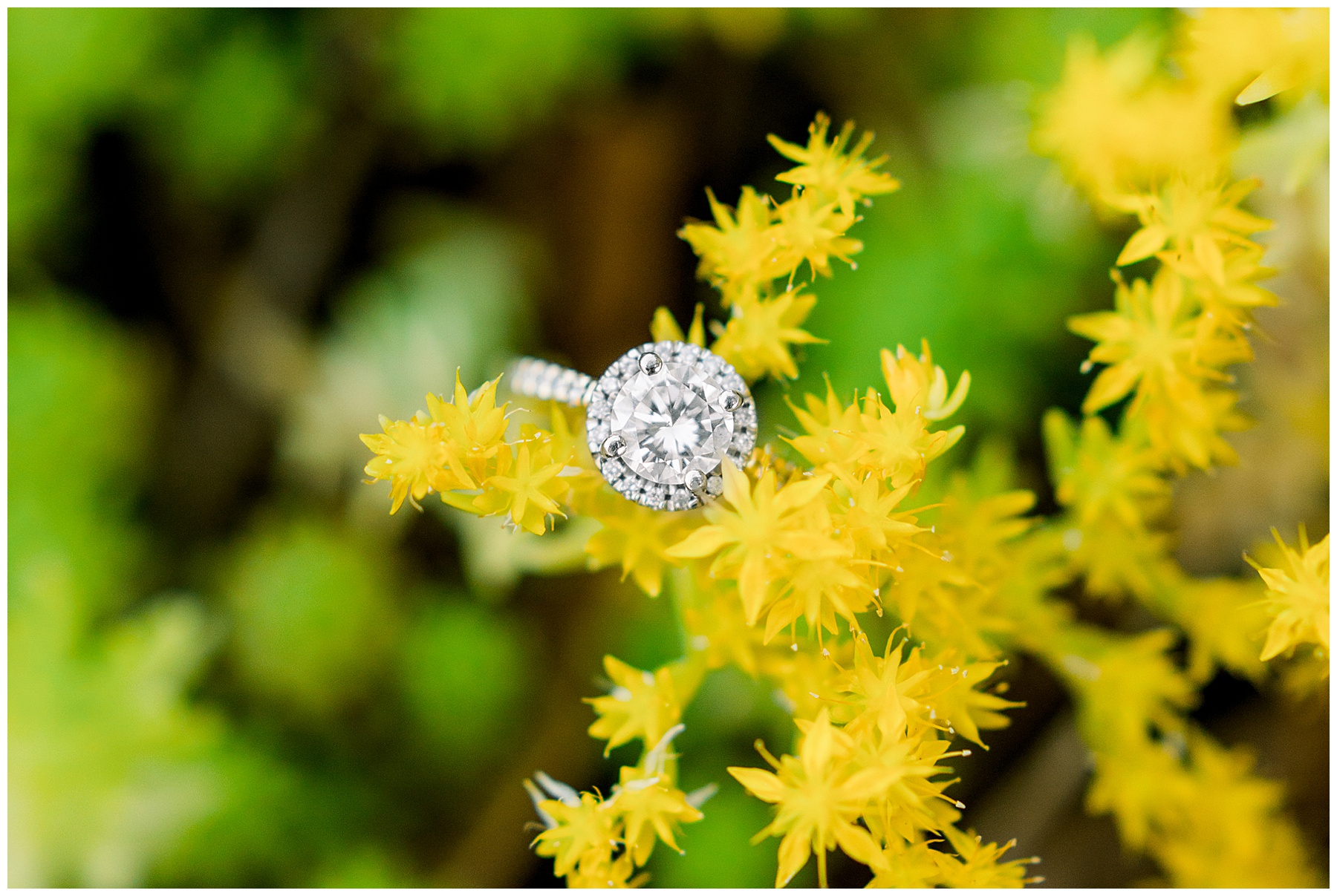Beaufort Engagement Session-Beach Engagement Session-Tiffany L Johnson Photography_0012.jpg