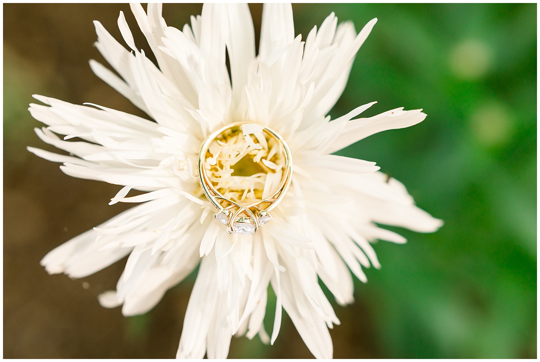 Historic Oak Engagement Session - Raleigh Engagement Session - Tiffany L Johnson Photography_0015.jpg