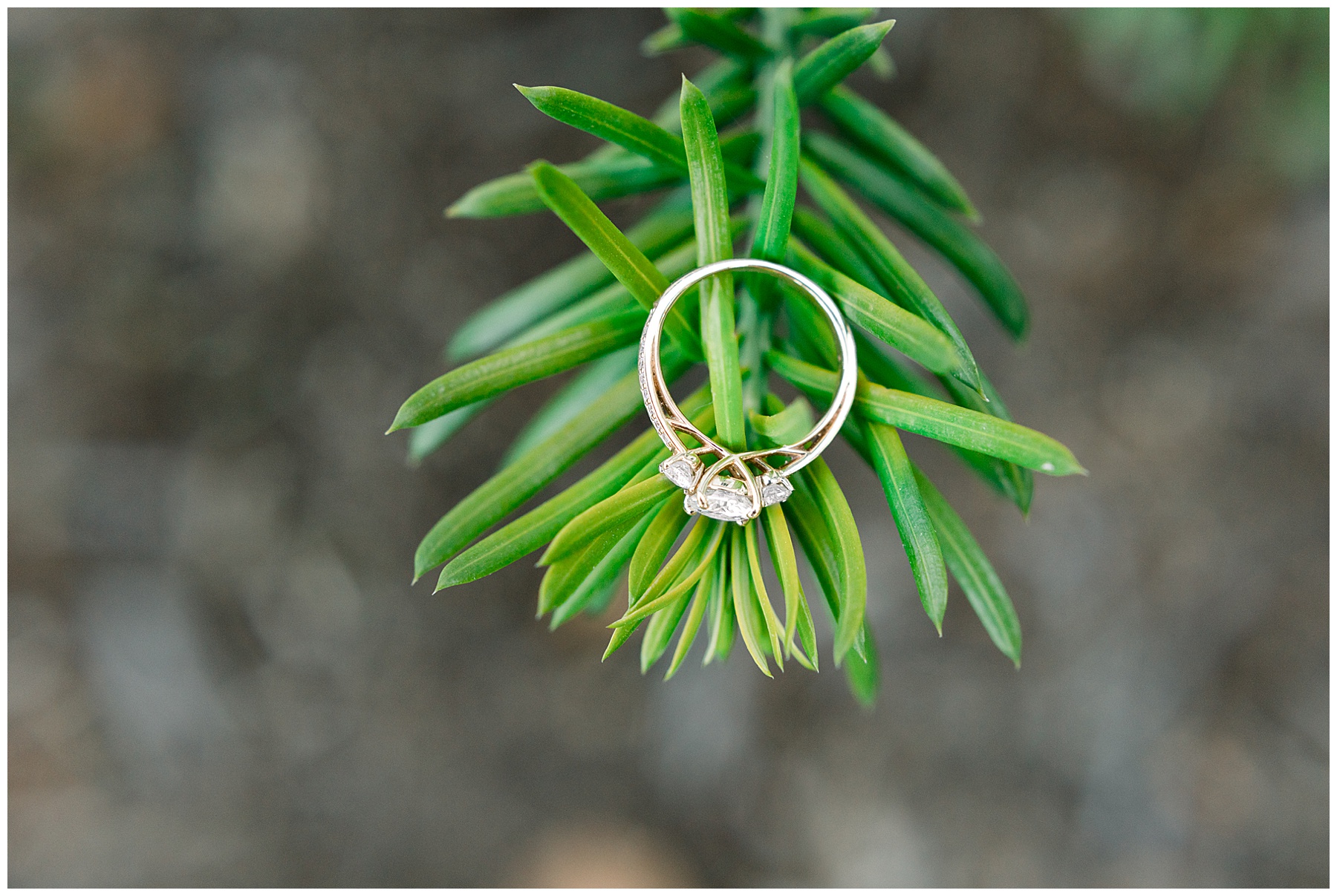 Historic Oak Engagement Session - Raleigh Engagement Session - Tiffany L Johnson Photography_0019.jpg