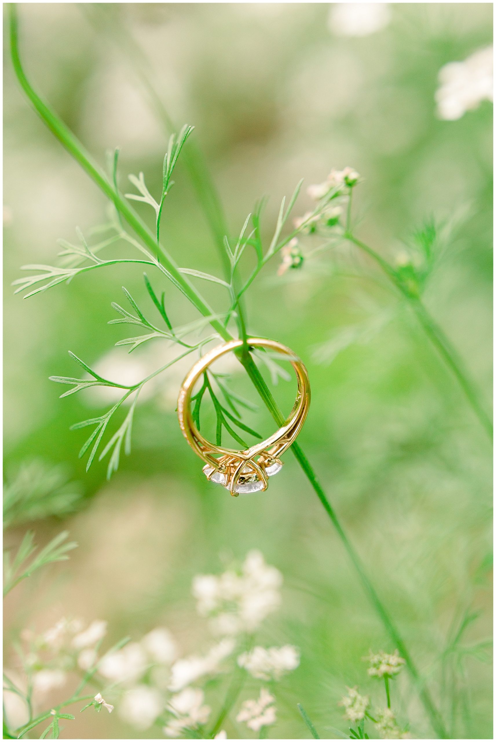 Historic Oak Engagement Session - Raleigh Engagement Session - Tiffany L Johnson Photography_0037.jpg