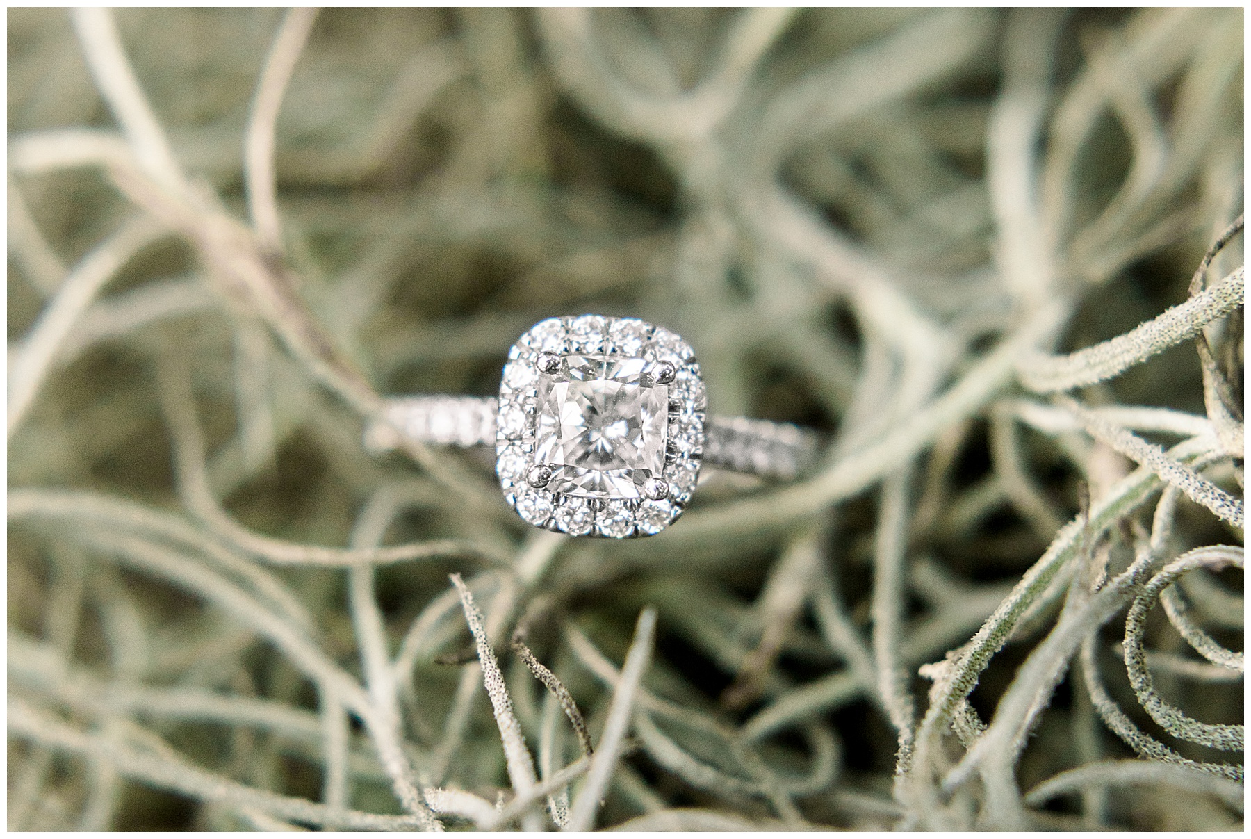 Wilmington Engagement Session - Wrightsville Engagement Session - Tiffany L Johnson Photography_0041.jpg Wilmington Engagement Session - Wrightsville Engagement Session - Tiffany L Johnson Photography_0041.jpg