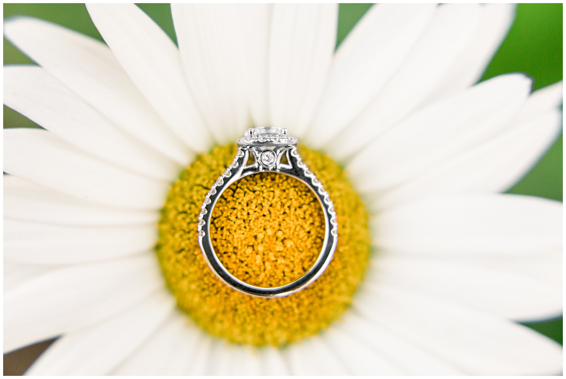 Wilmington Engagement Session - Wrightsville Engagement Session - Tiffany L Johnson Photography_0058.jpg Wilmington Engagement Session - Wrightsville Engagement Session - Tiffany L Johnson Photography_0058.jpg