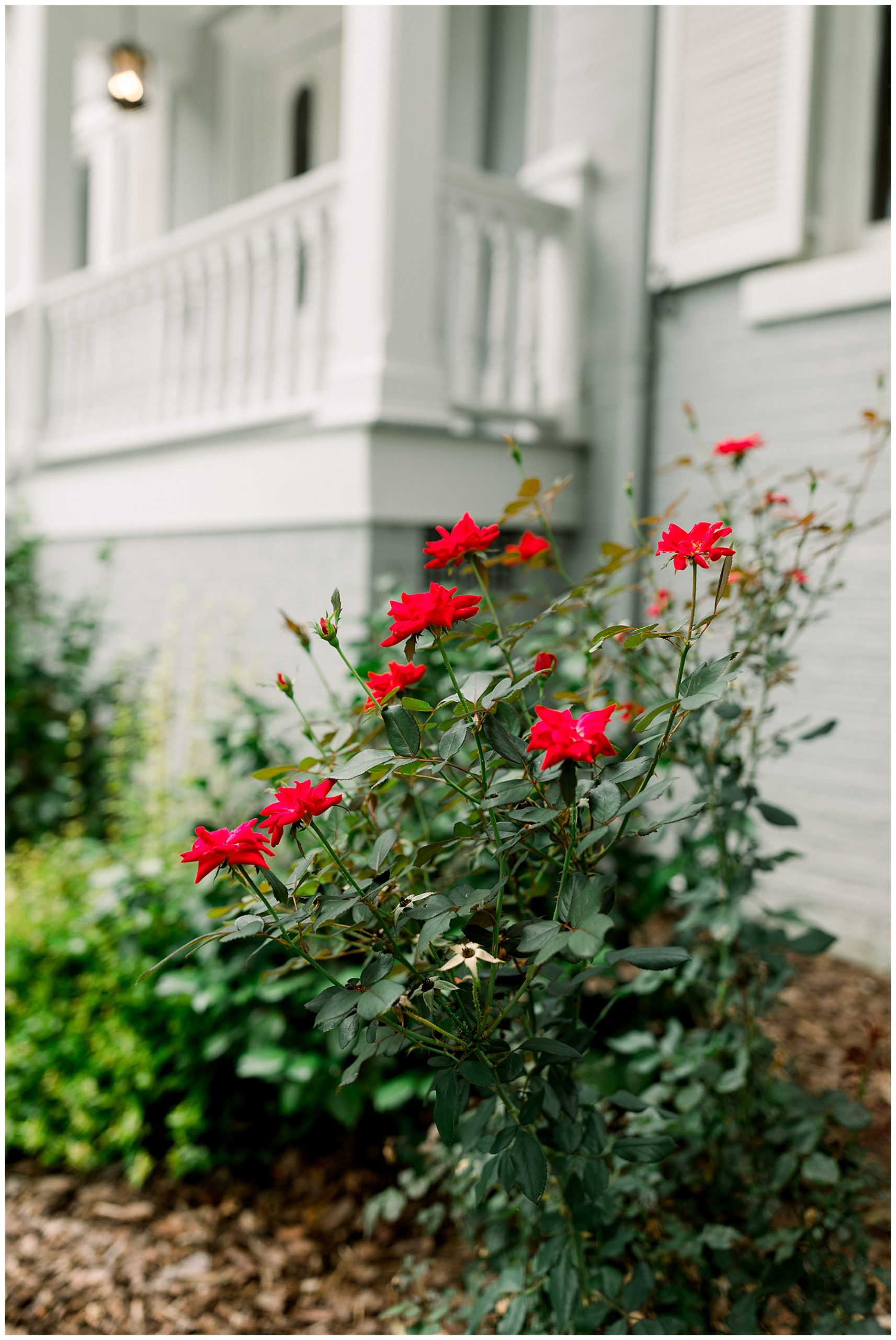 McAlister Leftwich Bridal Session - Greensboro Bridal Session - Tiffany L Johnson Photography_0027.jpg