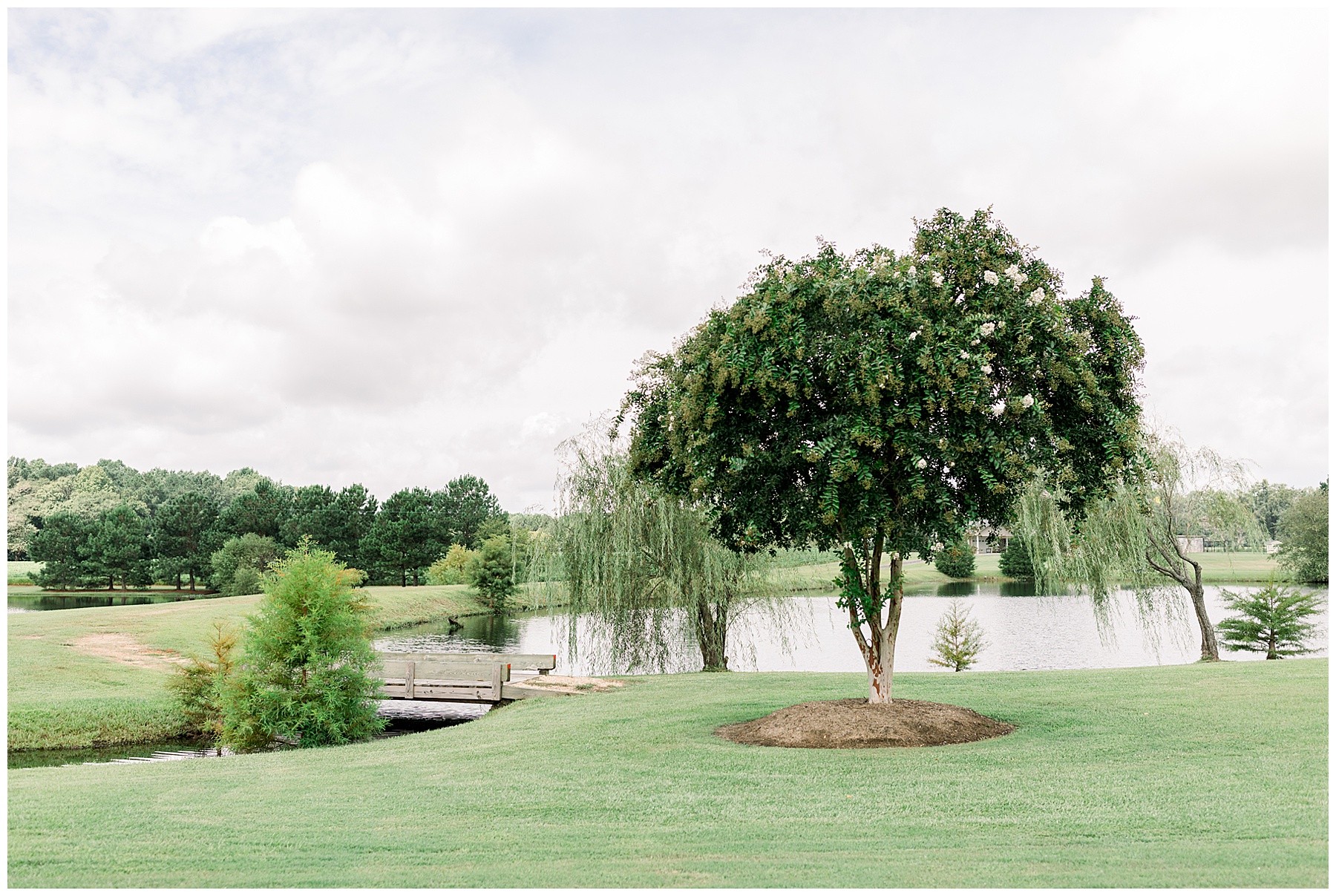 Selma Wedding - Farm Wedding - Tiffany L Johnson Photography_0023.jpg
