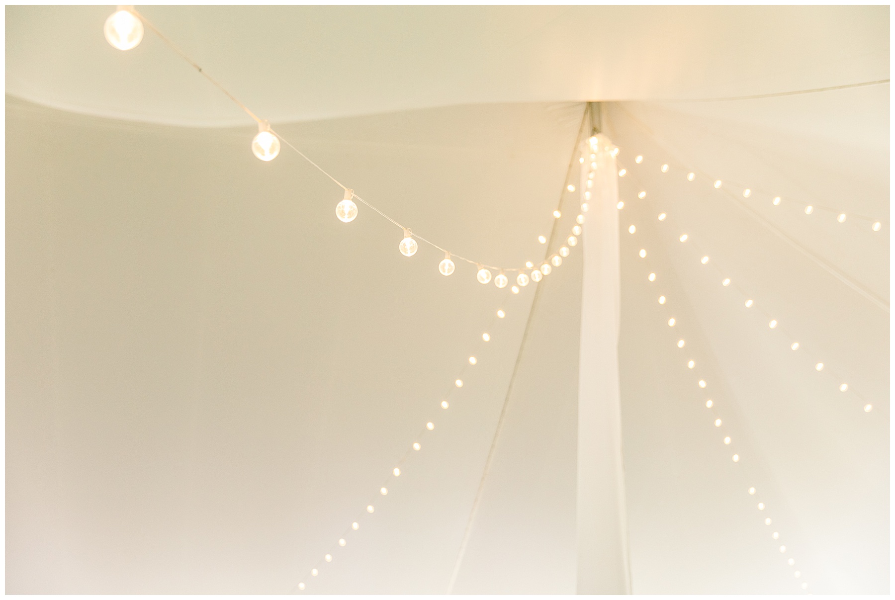 Selma Wedding - Farm Wedding - Tiffany L Johnson Photography_0129.jpg