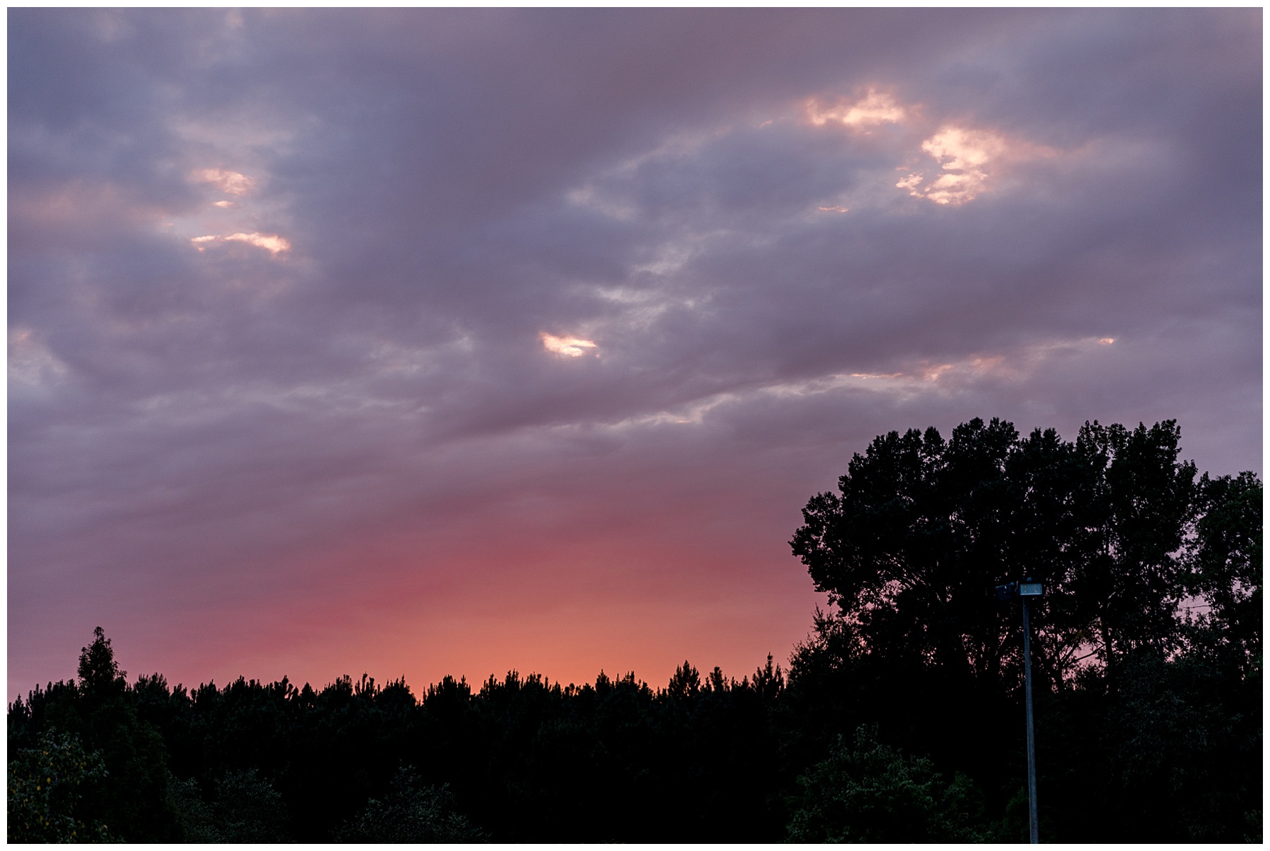 Selma Wedding - Farm Wedding - Tiffany L Johnson Photography_0141.jpg