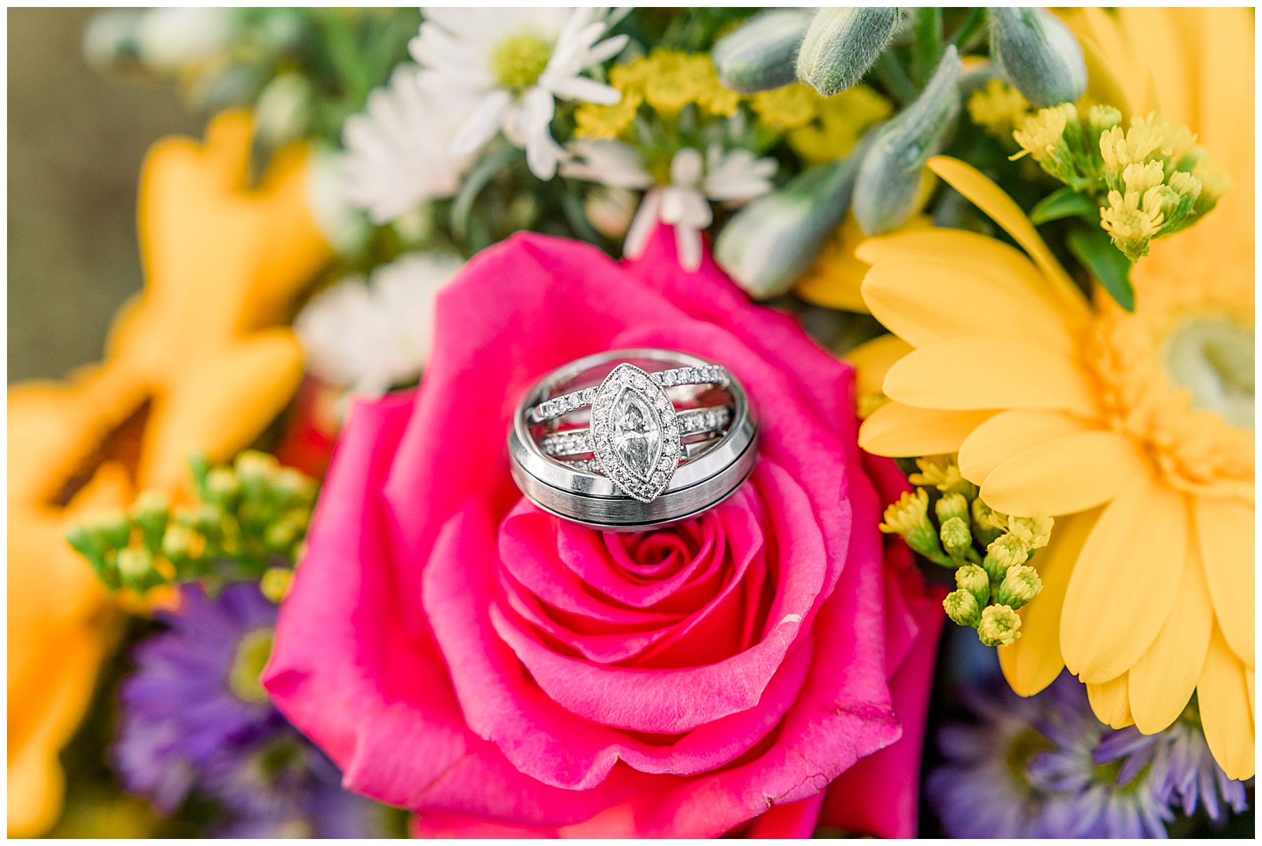 Magical Field Elopement Wedding - Tiffany L Johnson Photography_0002.jpg