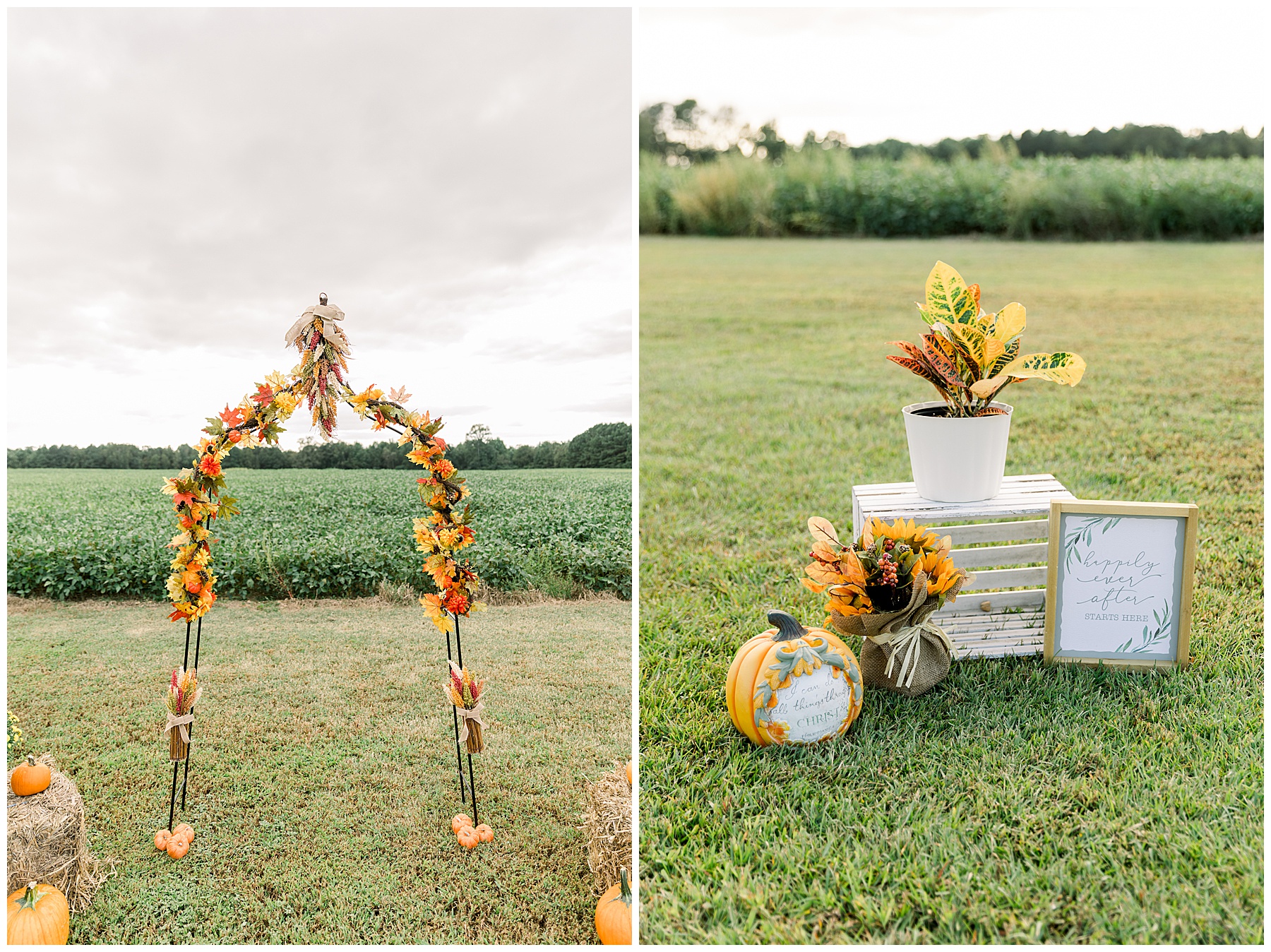 Magical Field Elopement Wedding - Tiffany L Johnson Photography_0004.jpg