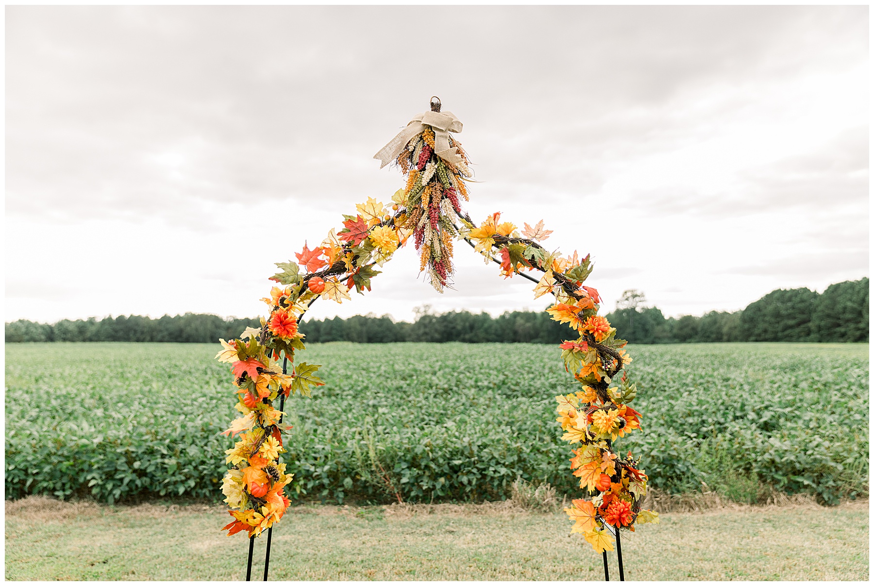 Magical Field Elopement Wedding - Tiffany L Johnson Photography_0006.jpg