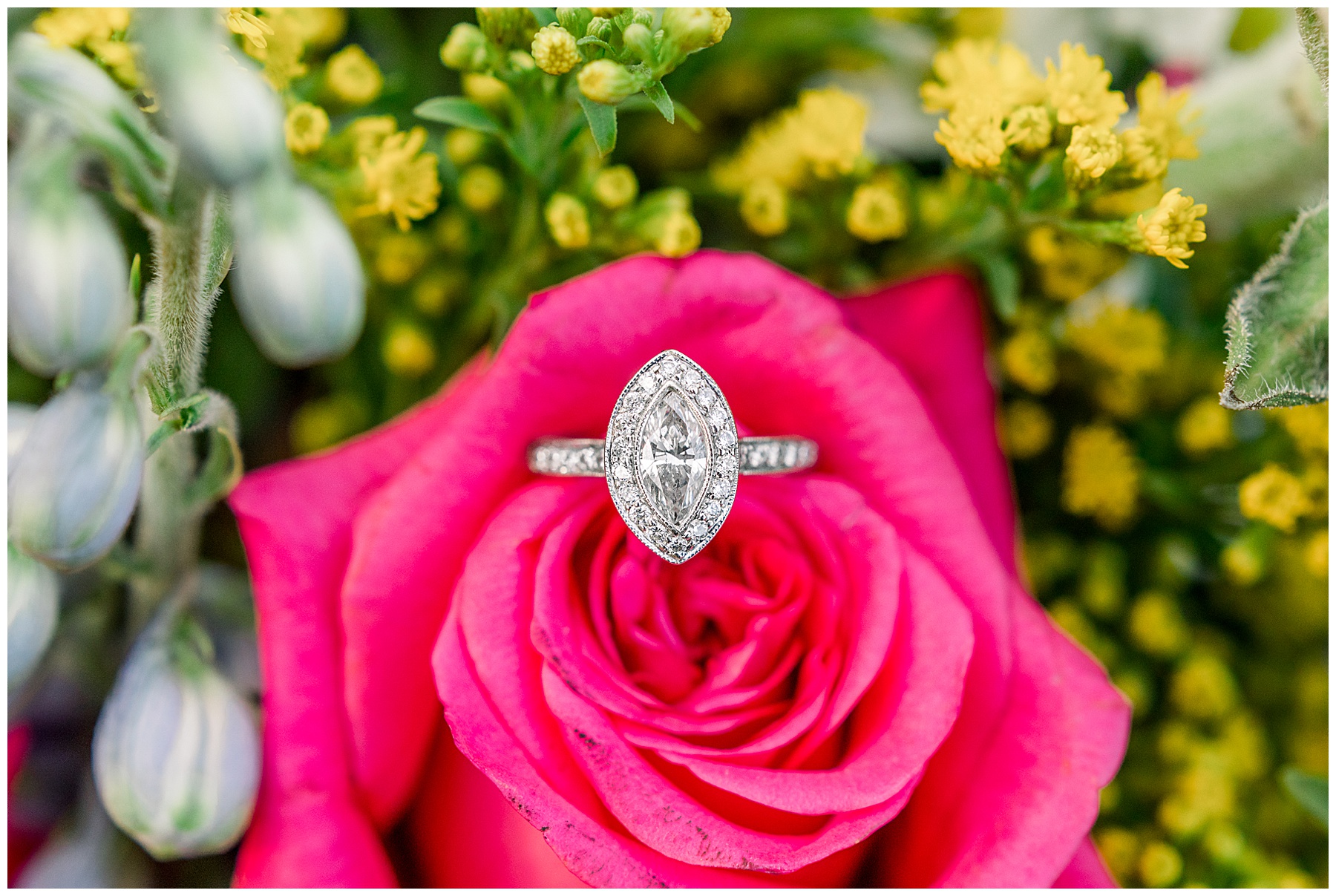 Magical Field Elopement Wedding - Tiffany L Johnson Photography_0023.jpg