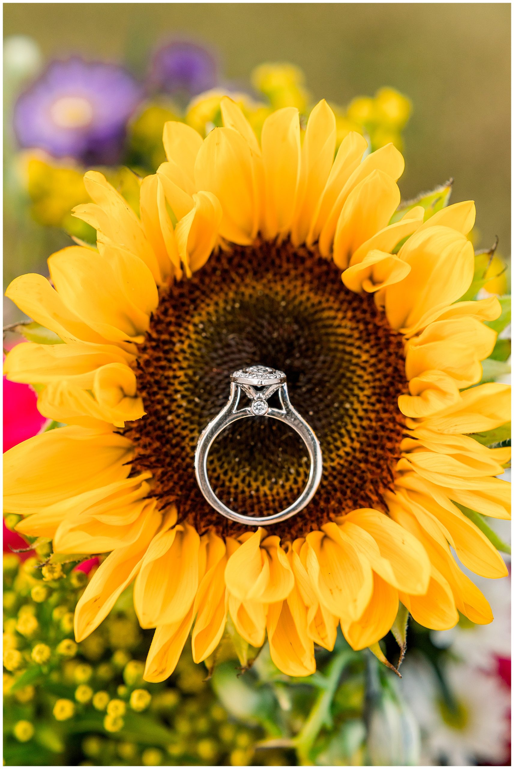 Magical Field Elopement Wedding - Tiffany L Johnson Photography_0076.jpg
